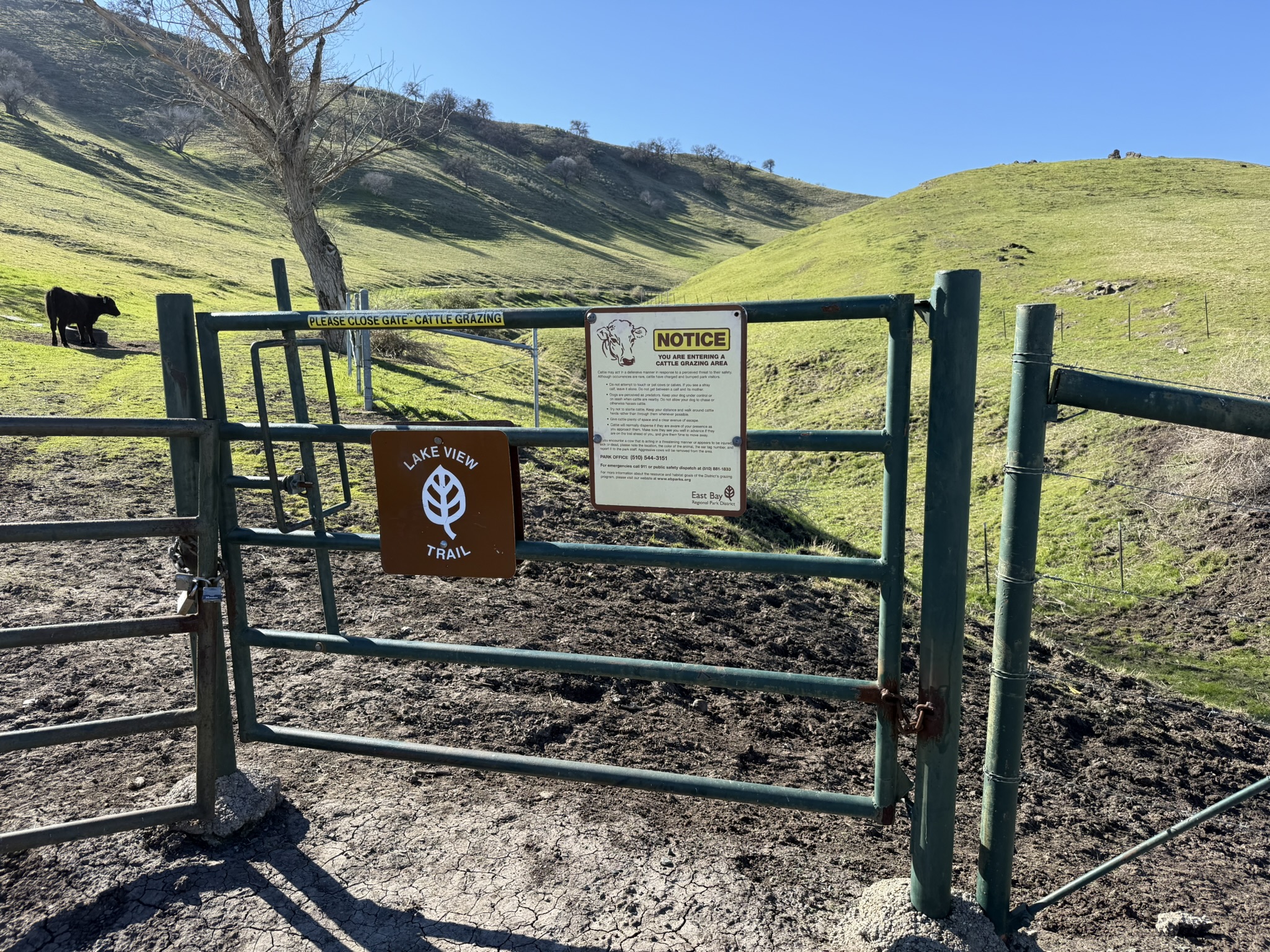 Lake View Trail