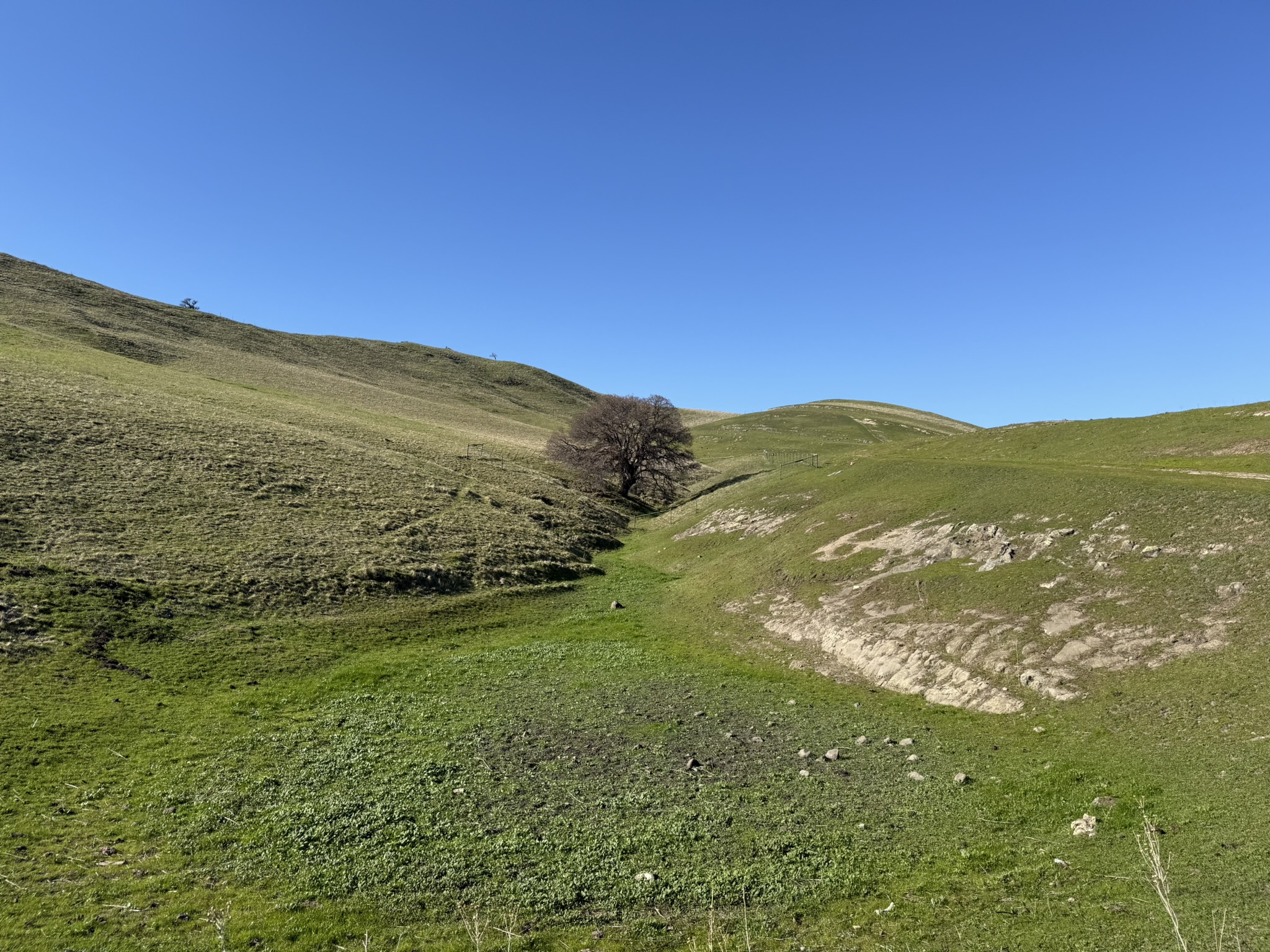 Lake View Trail