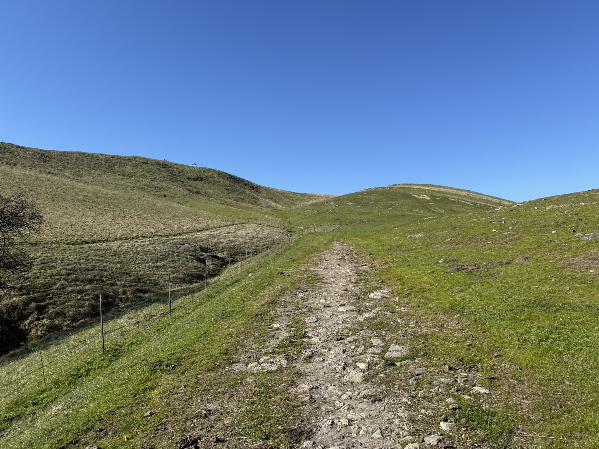 Lake View Trail