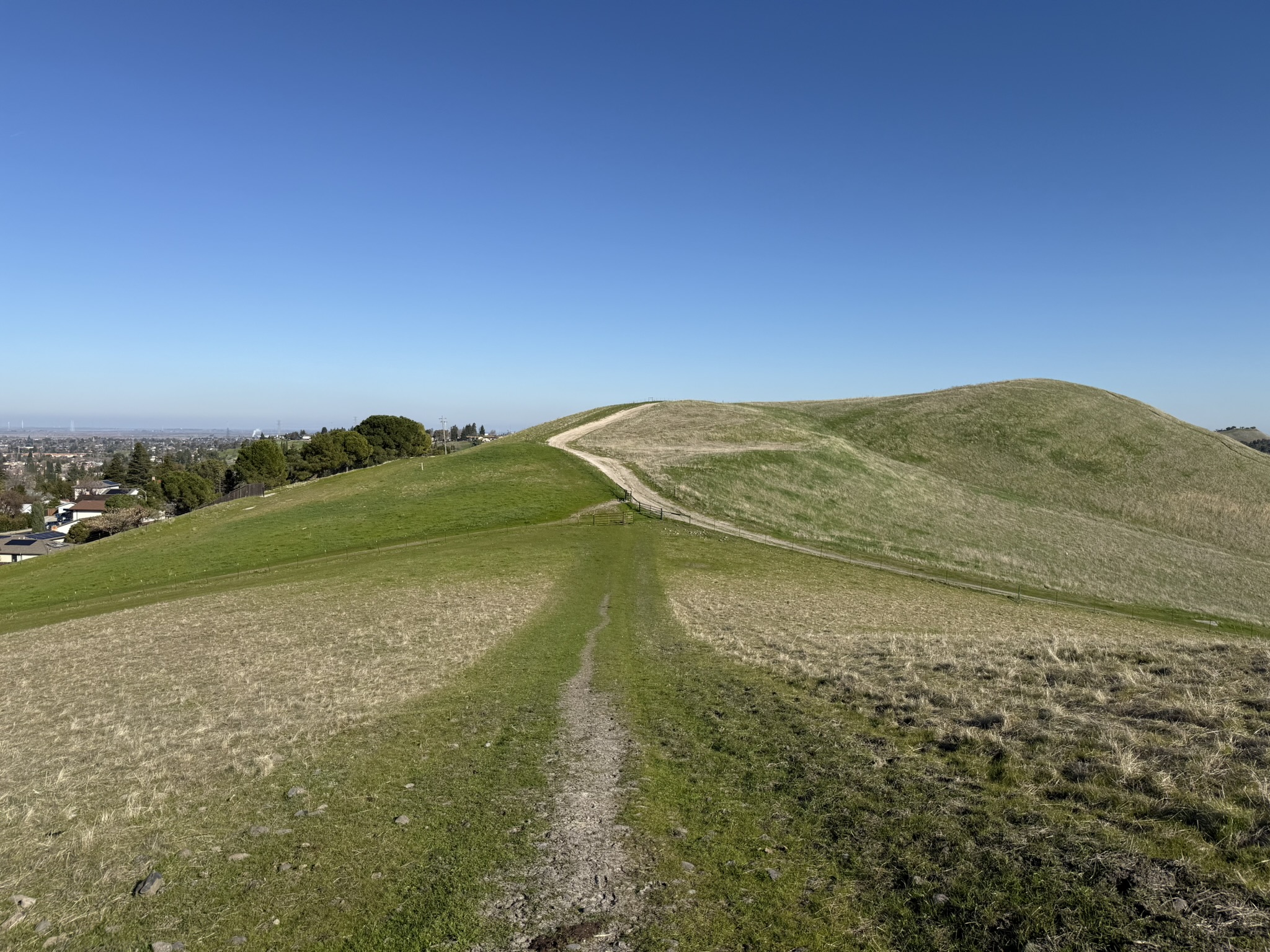 Ridge Trail