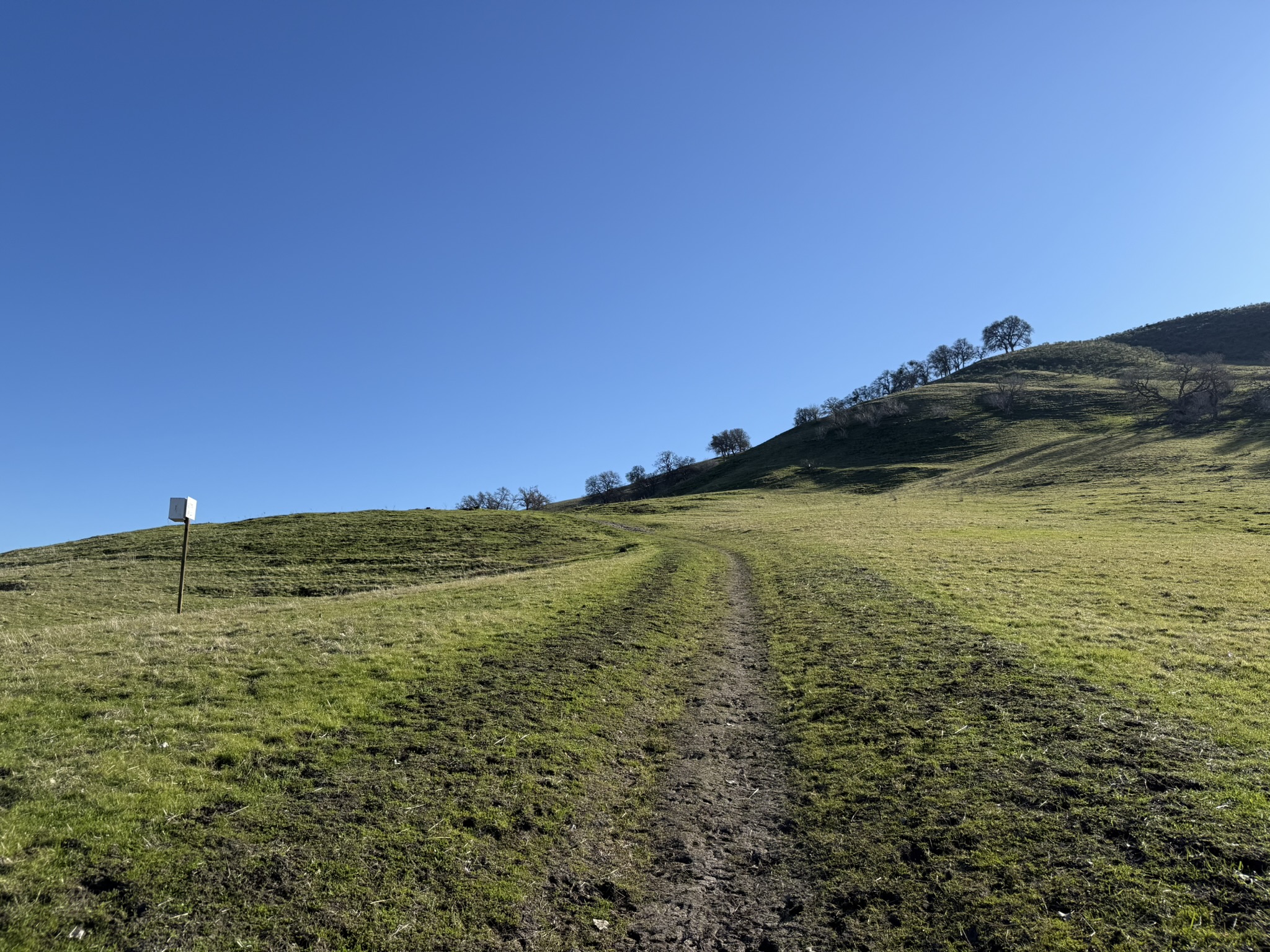 Lake View Trail