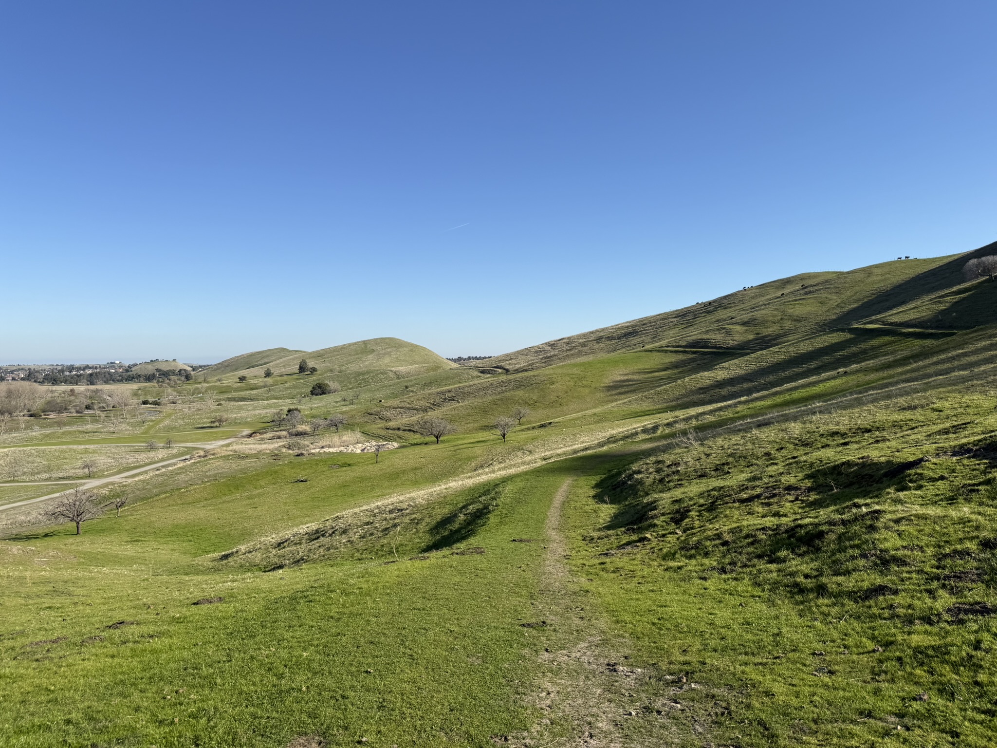 Lake View Trail