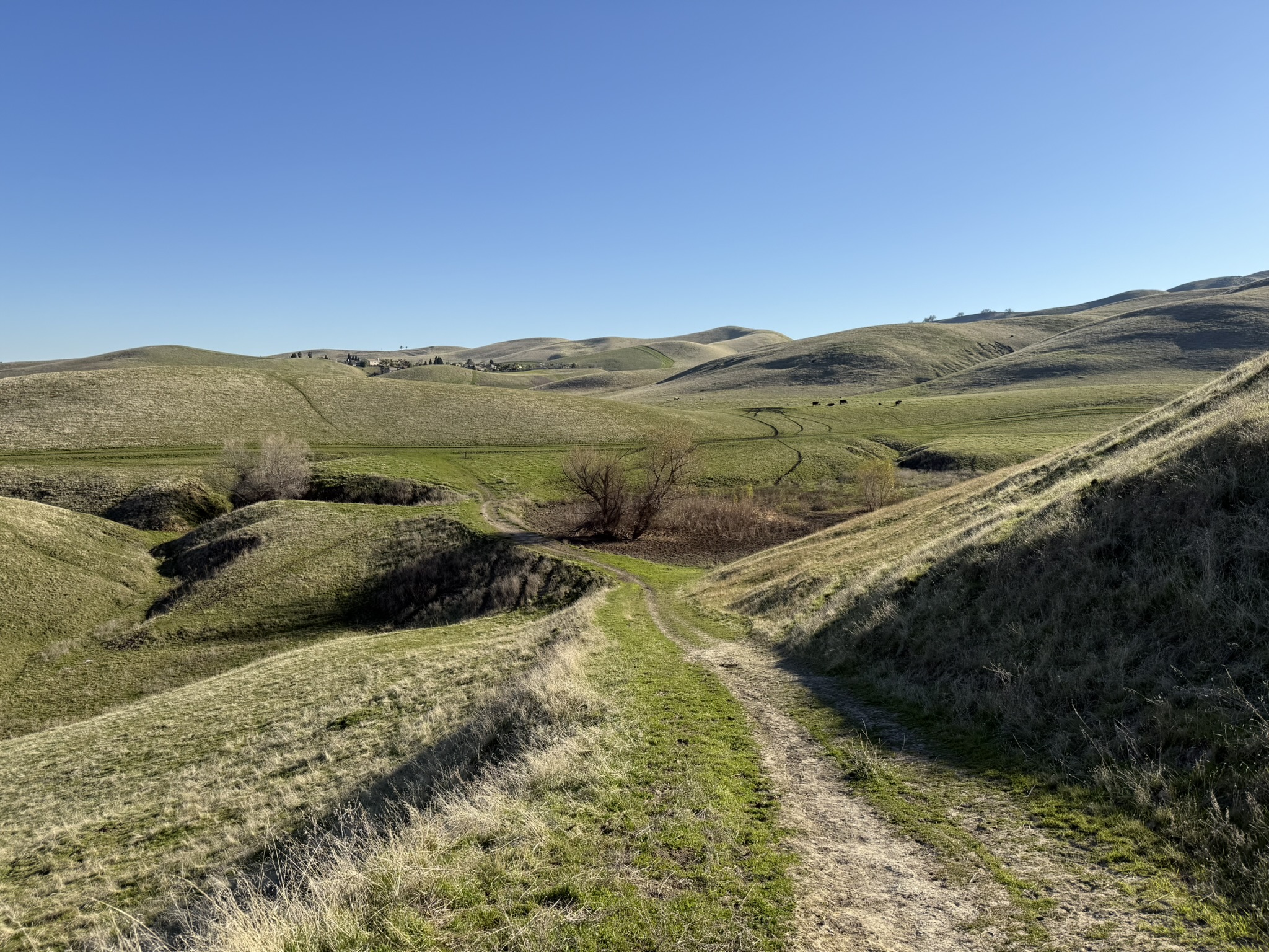 Lake View Trail