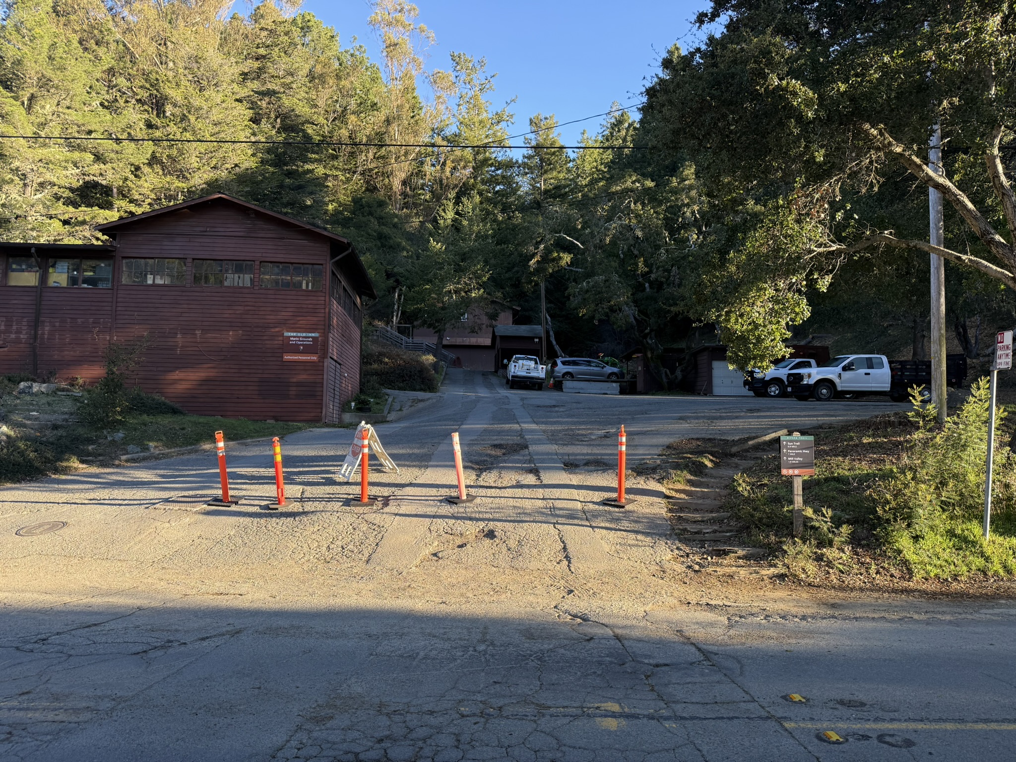 我准备先走东边的 Dipsea Trail