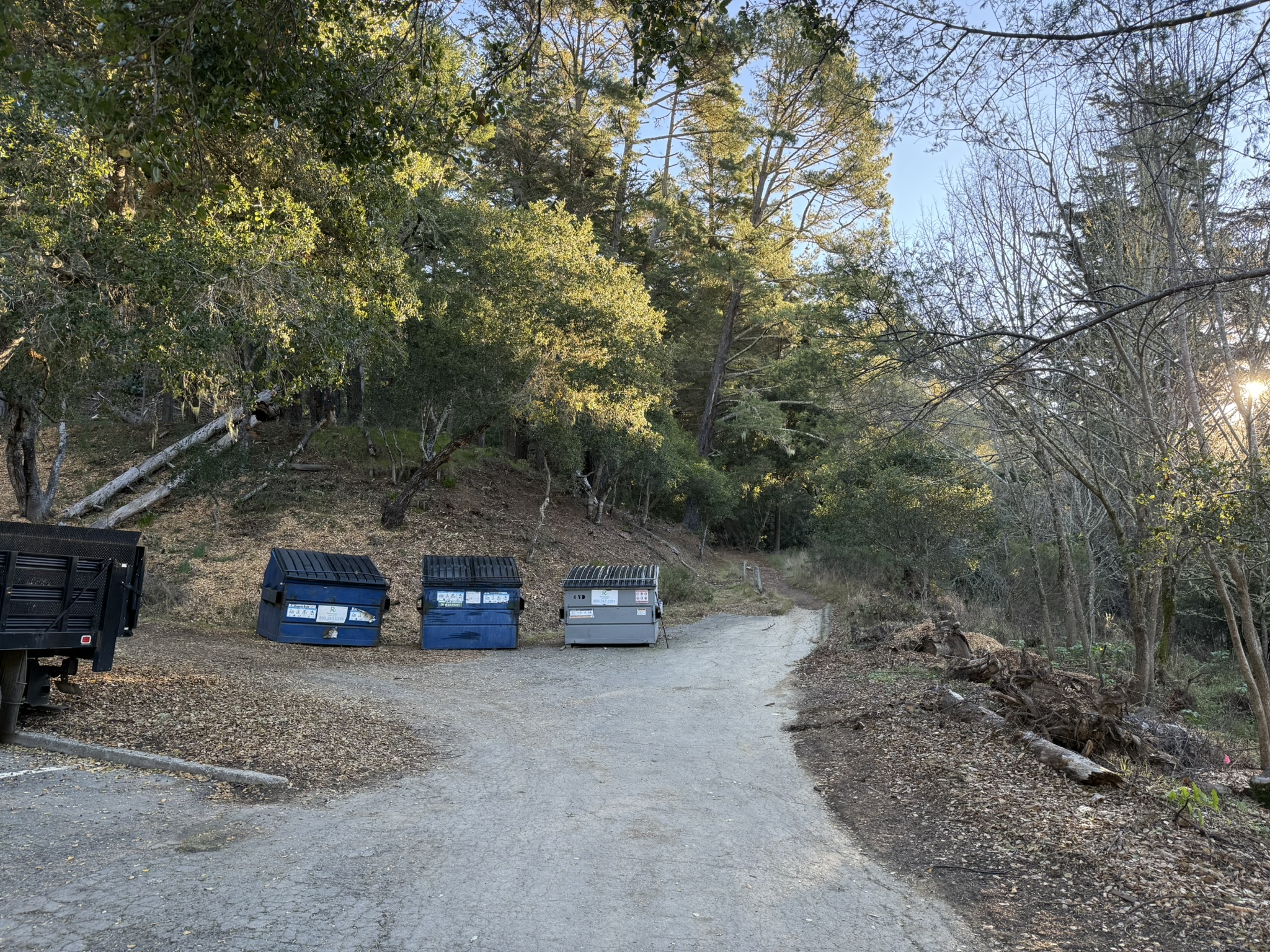 Dipsea Trail 的入口并不起眼