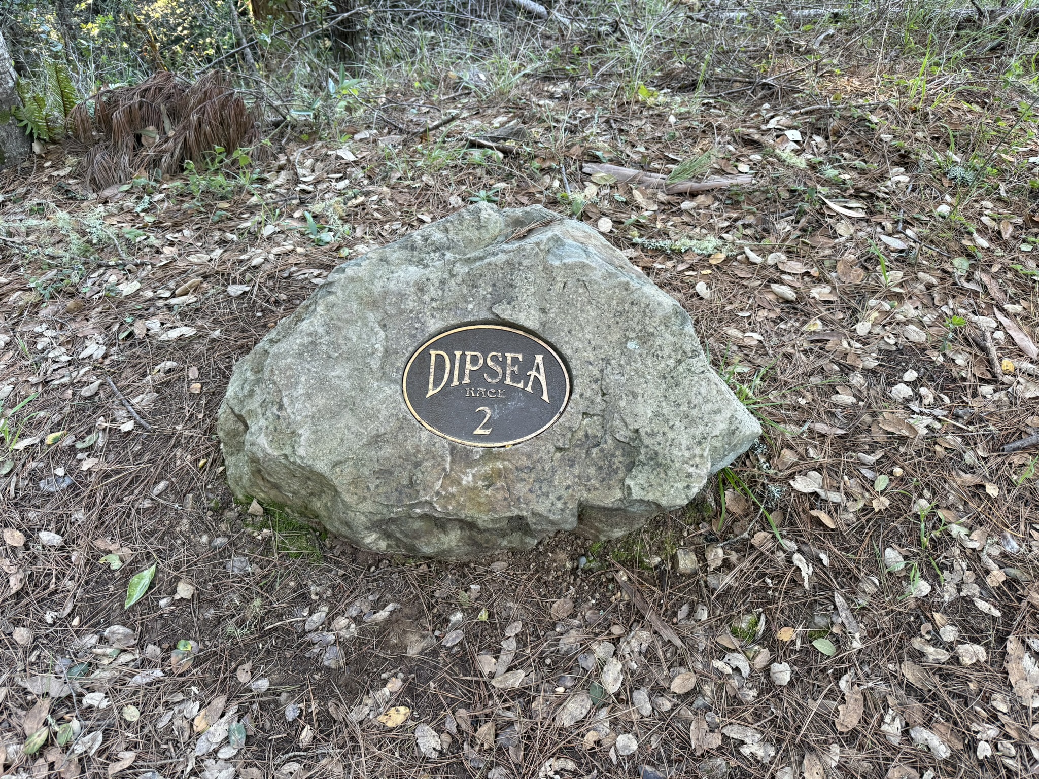 Dipsea Trail