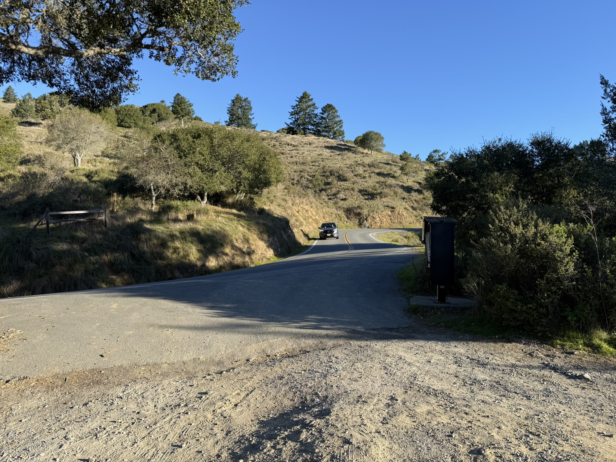 Dipsea Trail