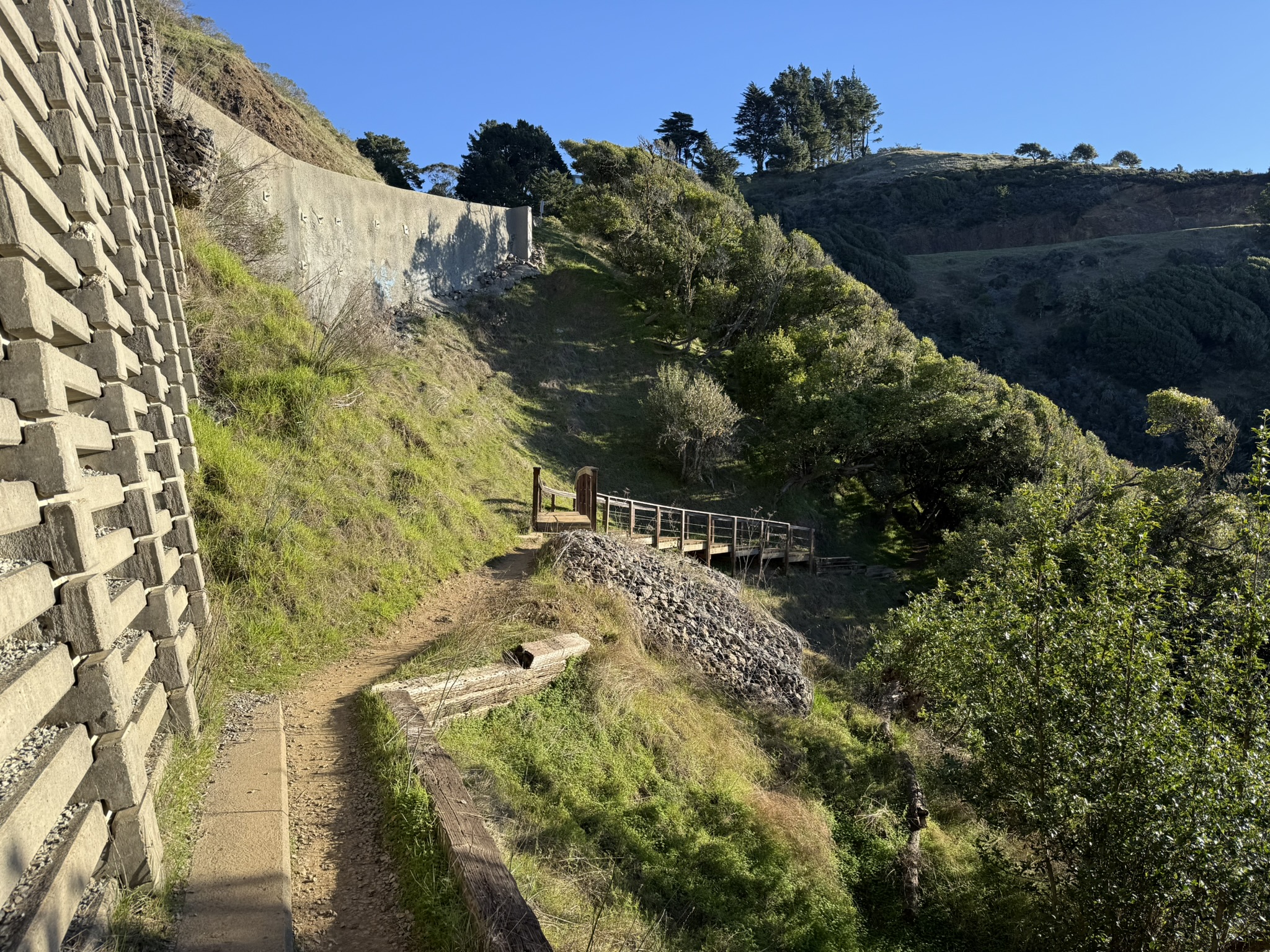 Dipsea Trail