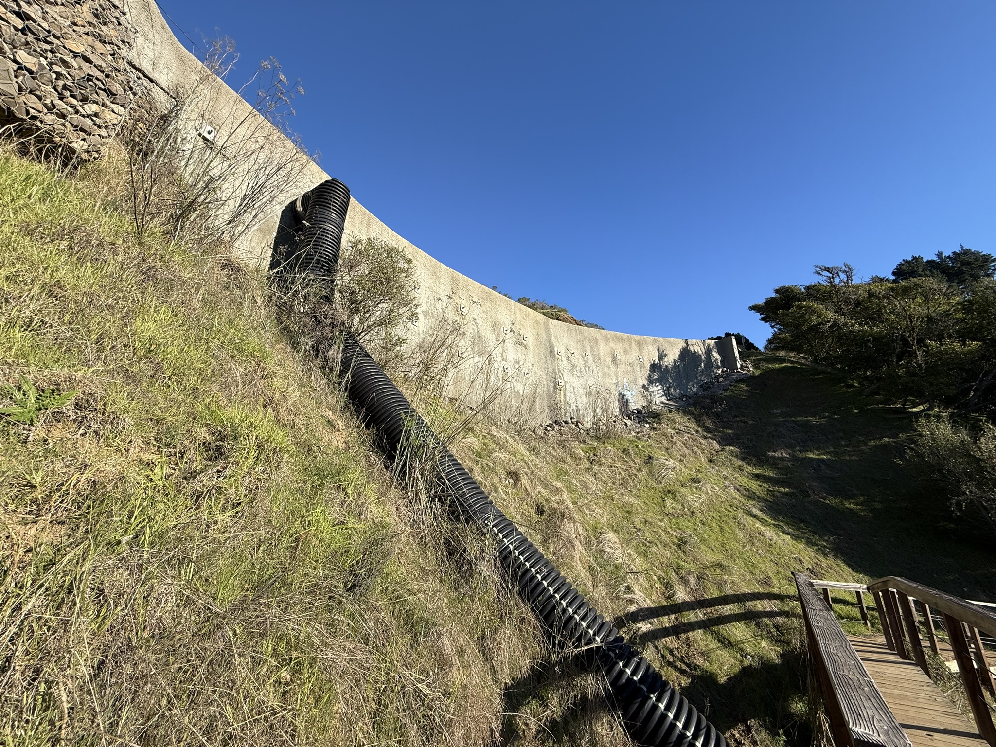 Dipsea Trail