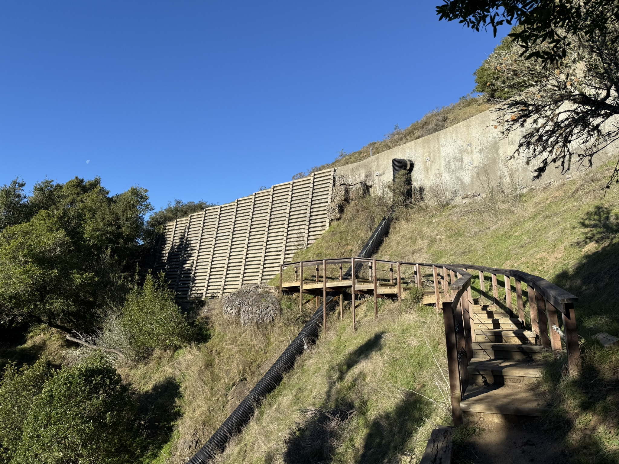 Dipsea Trail