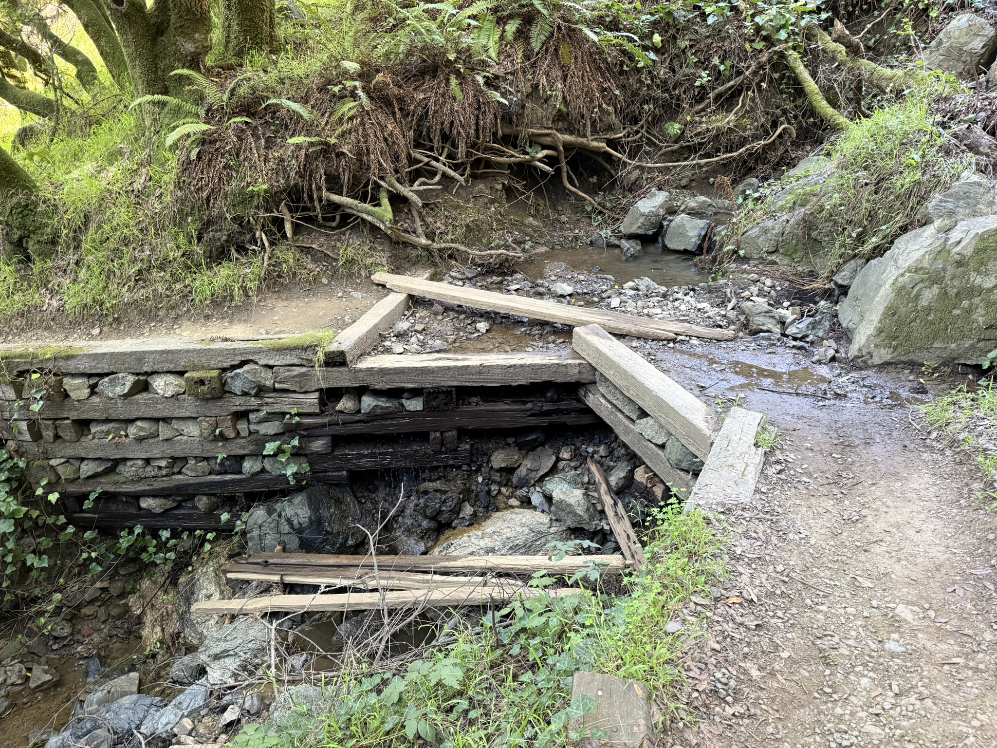 Dipsea Trail