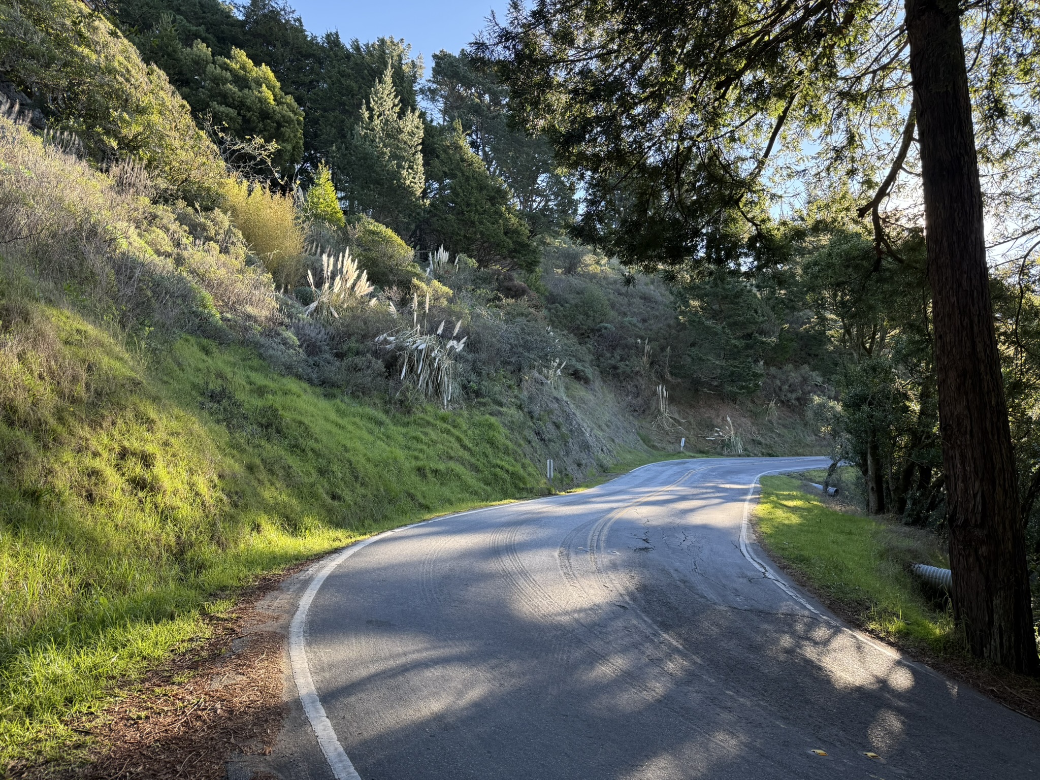 Dipsea Trail