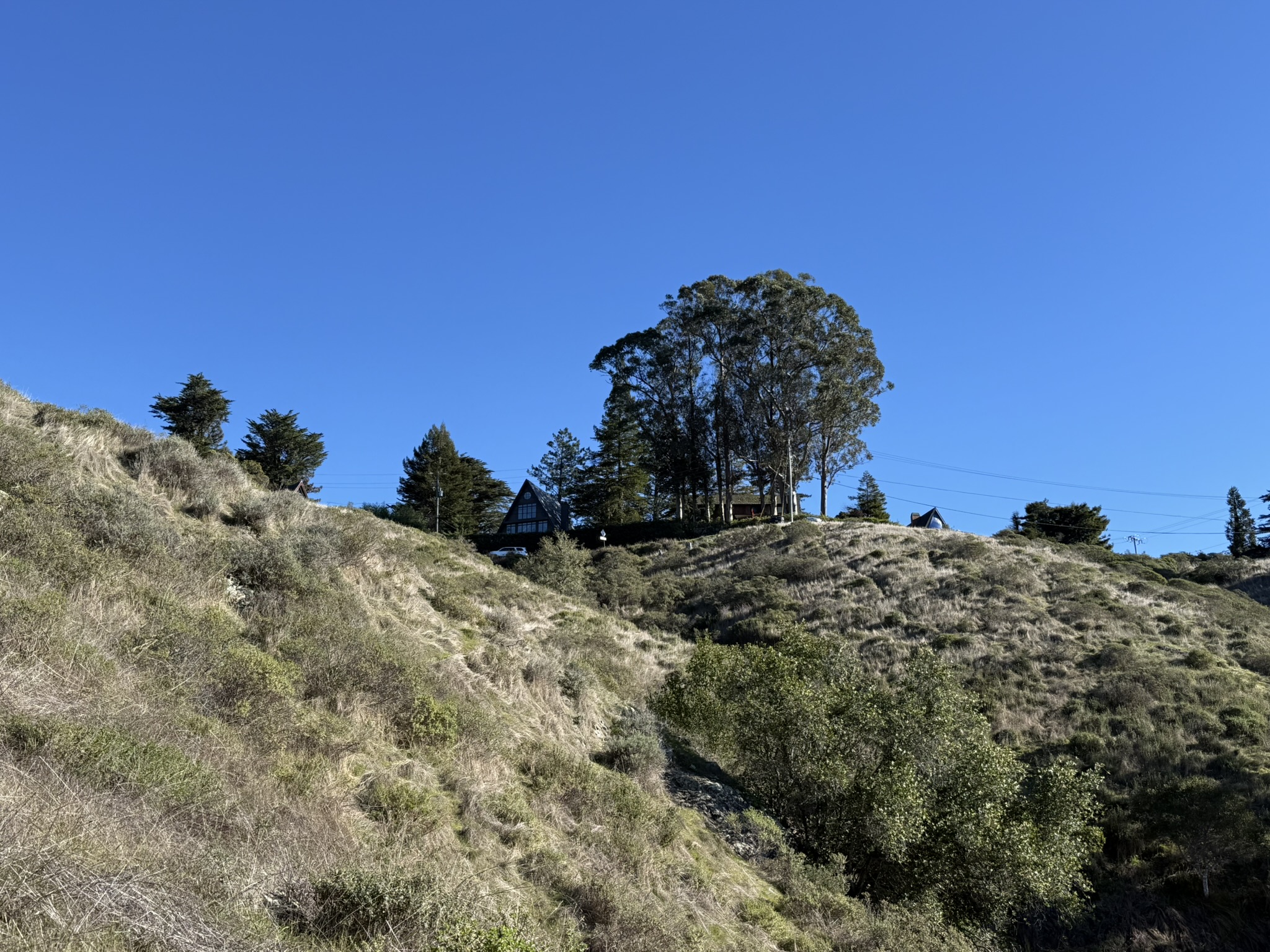 Redwood Trail