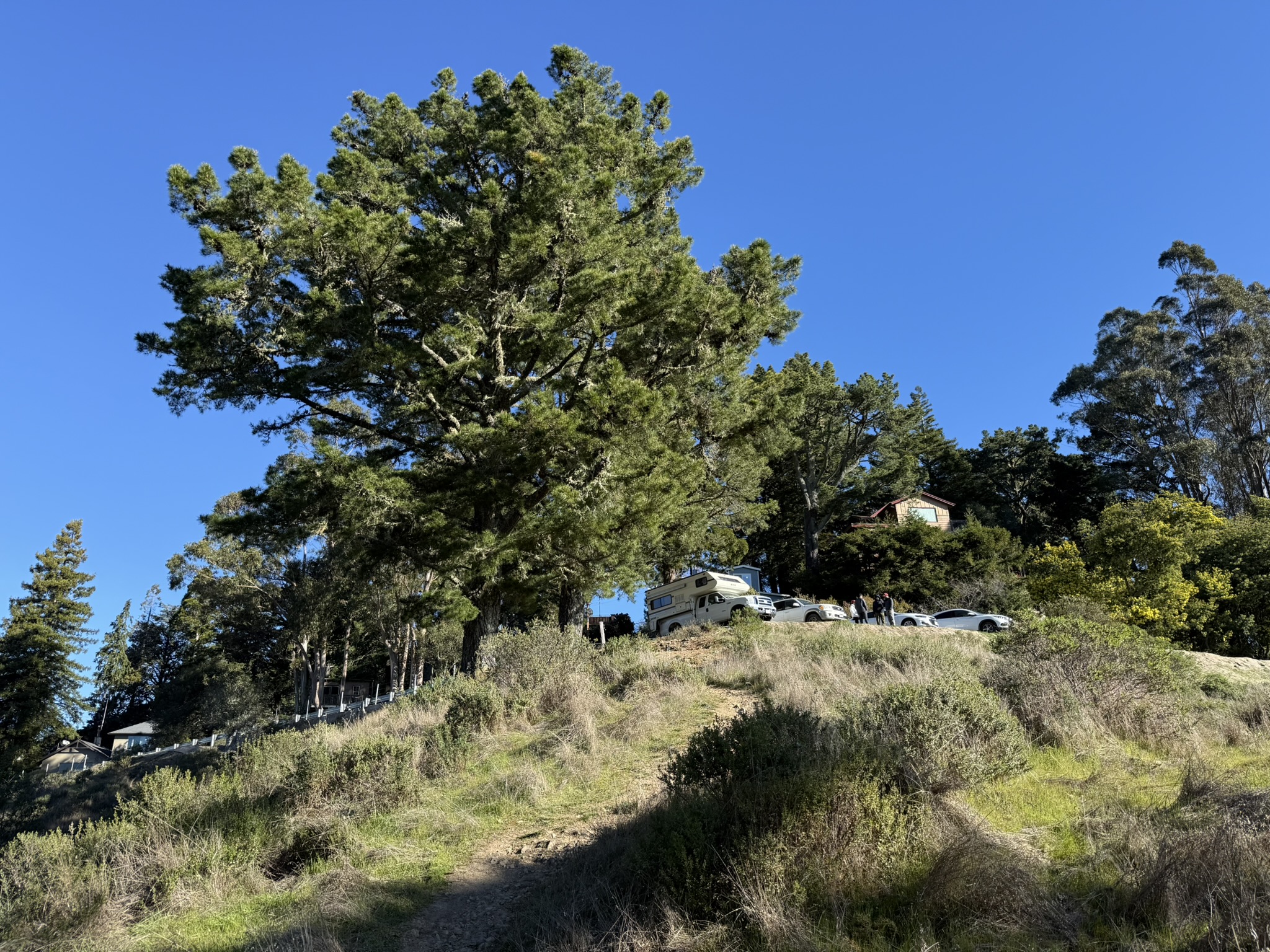 Panoramic Trail