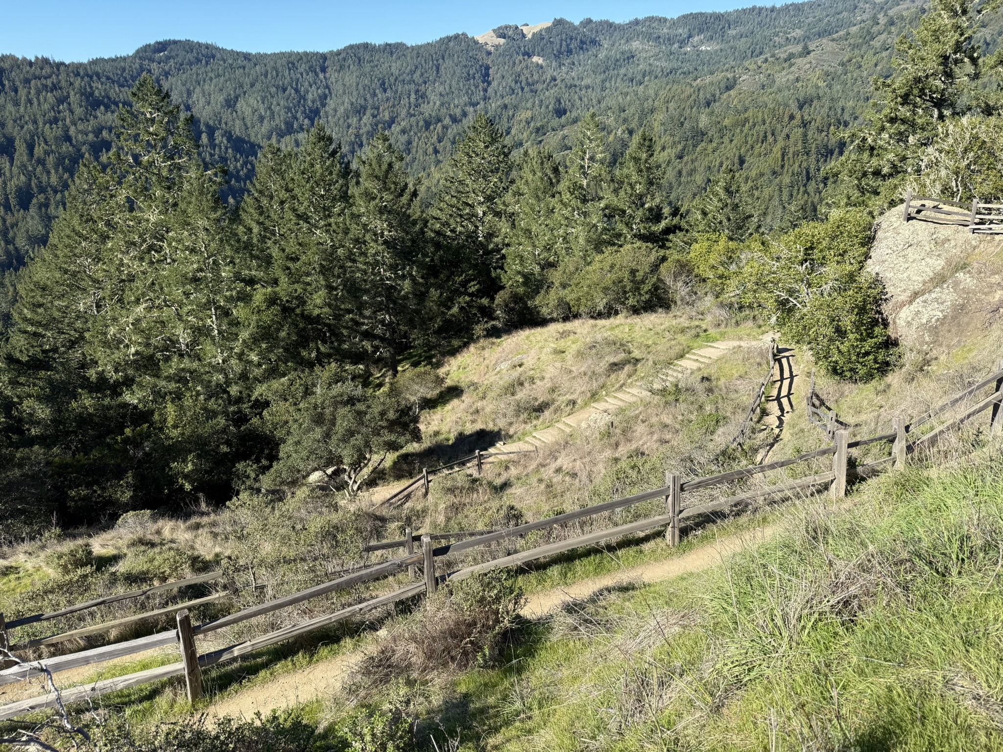 Canopy View Trail