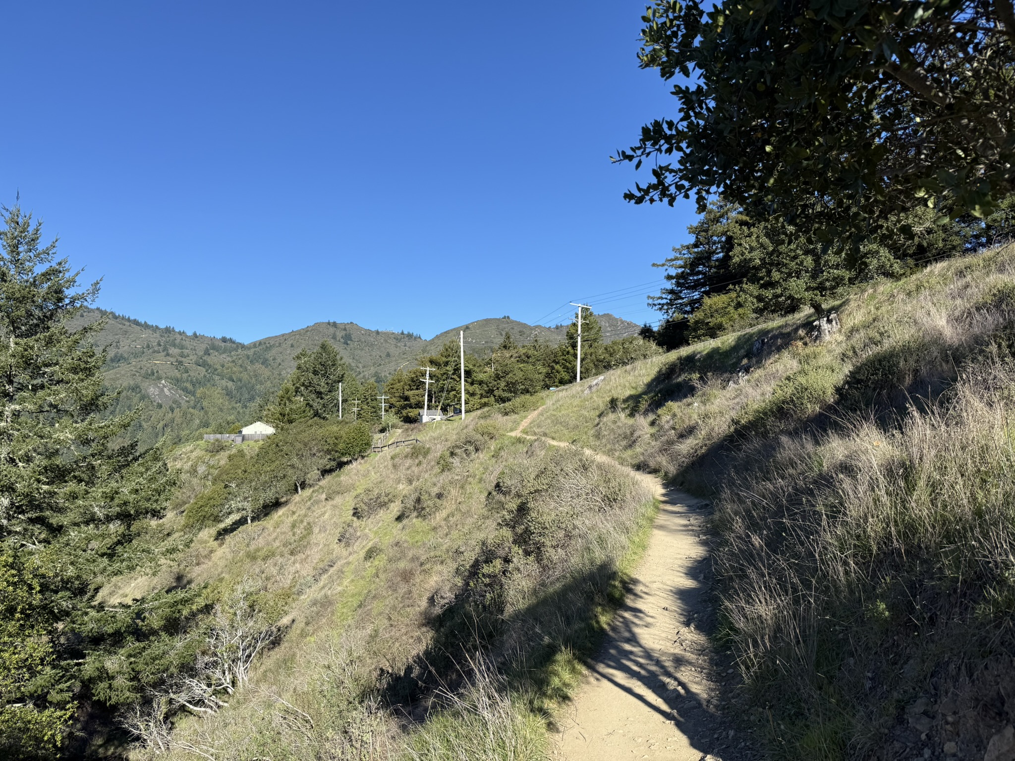 Canopy View Trail