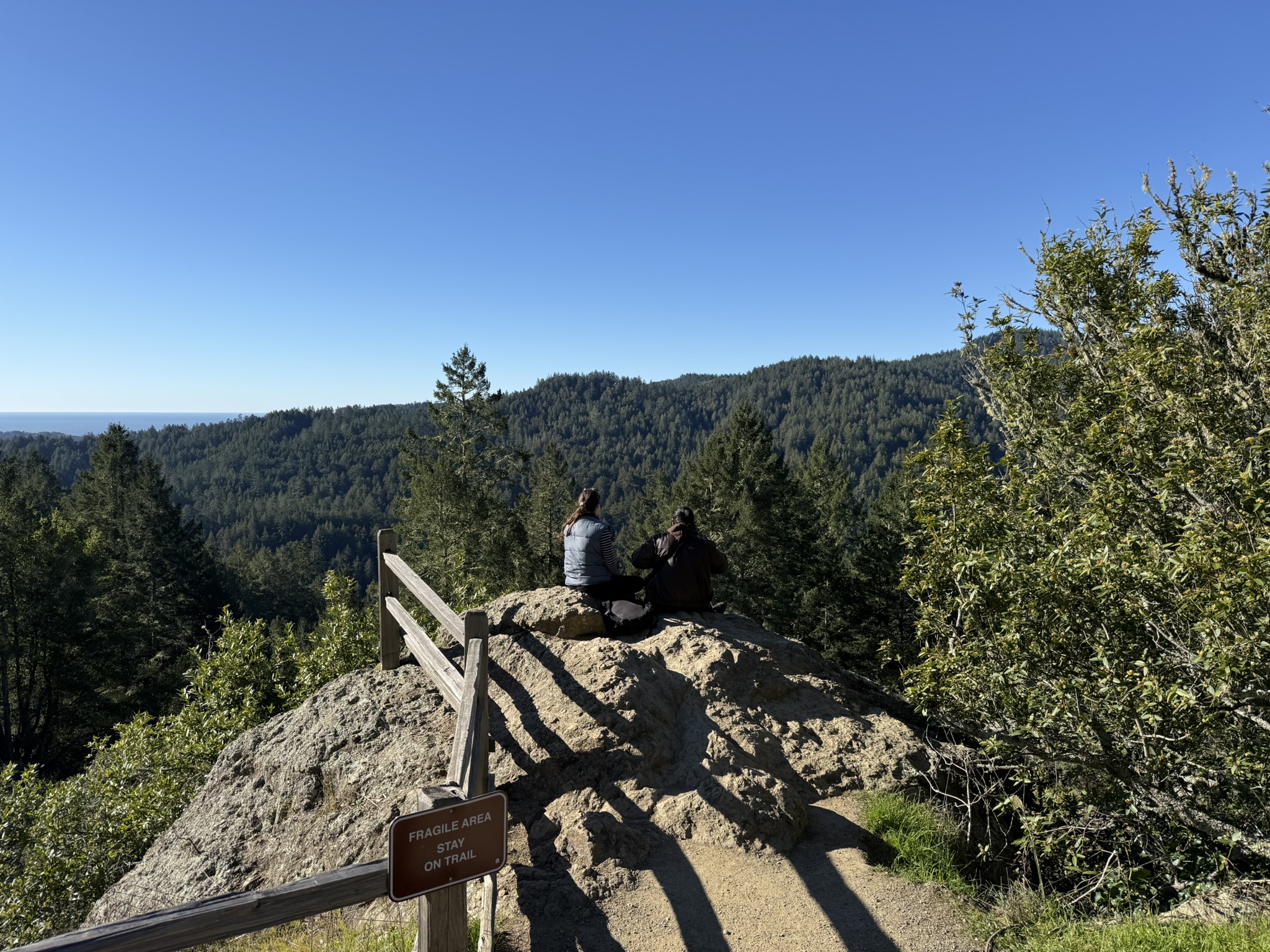 Canopy View Trail