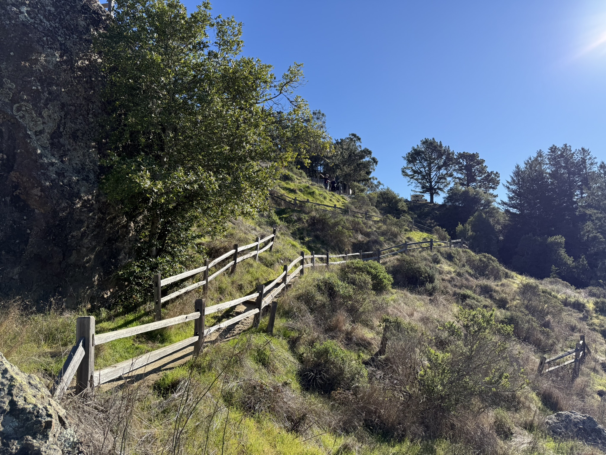 Canopy View Trail