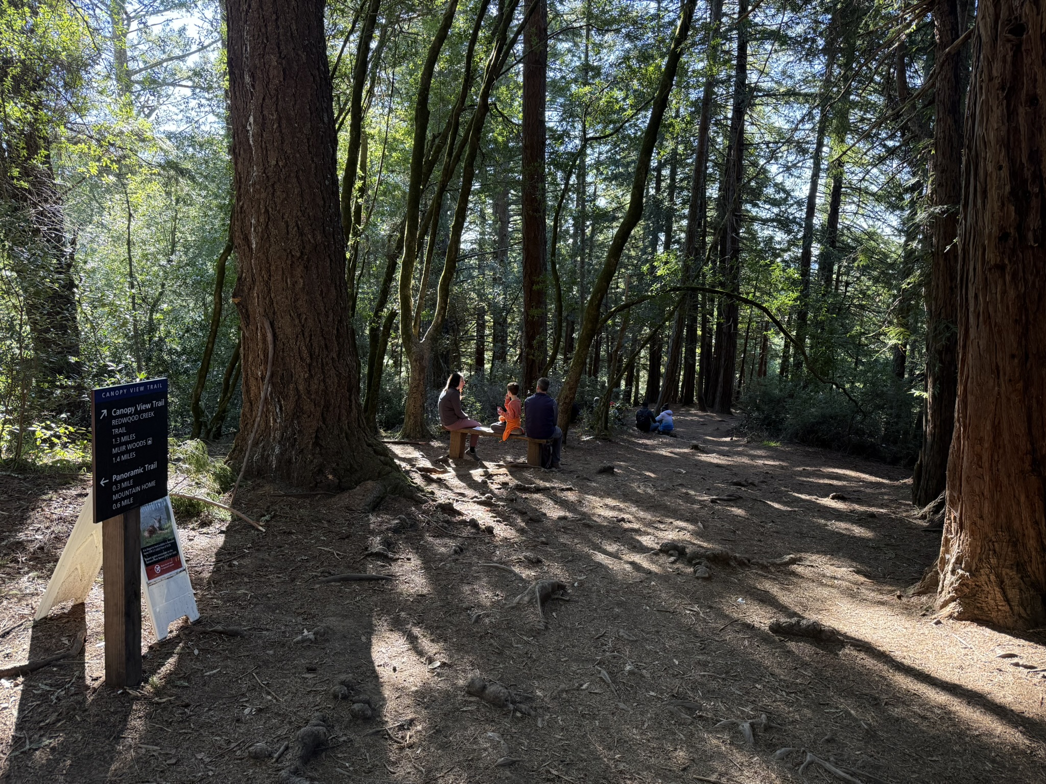 Canopy View Trail