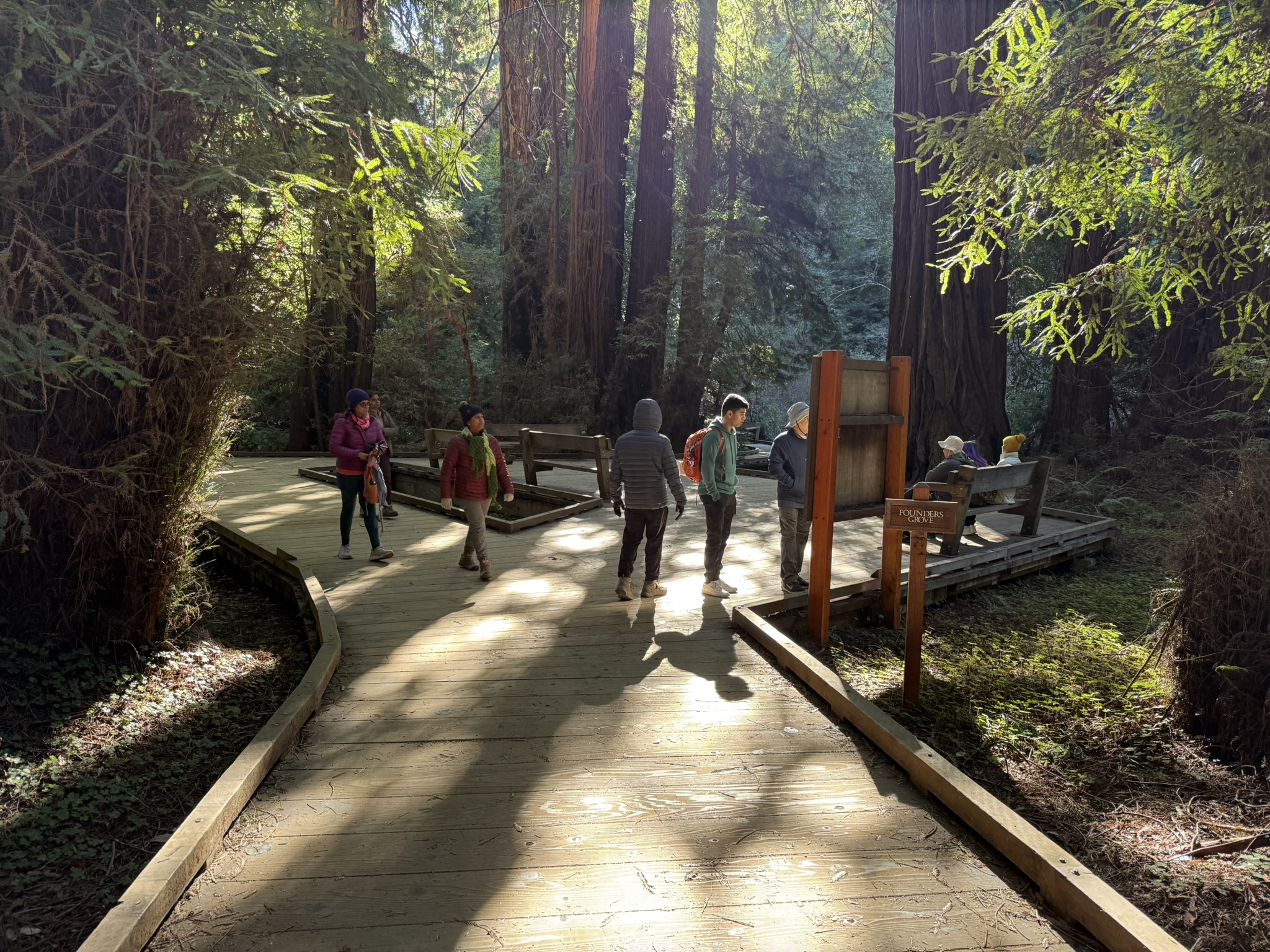 Canopy View Trail