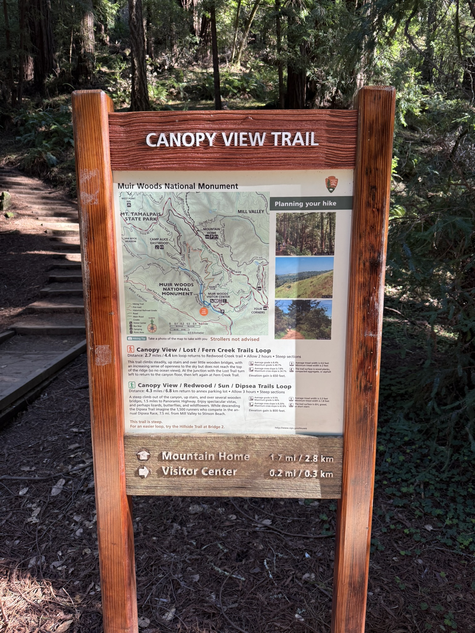 Canopy View Trail