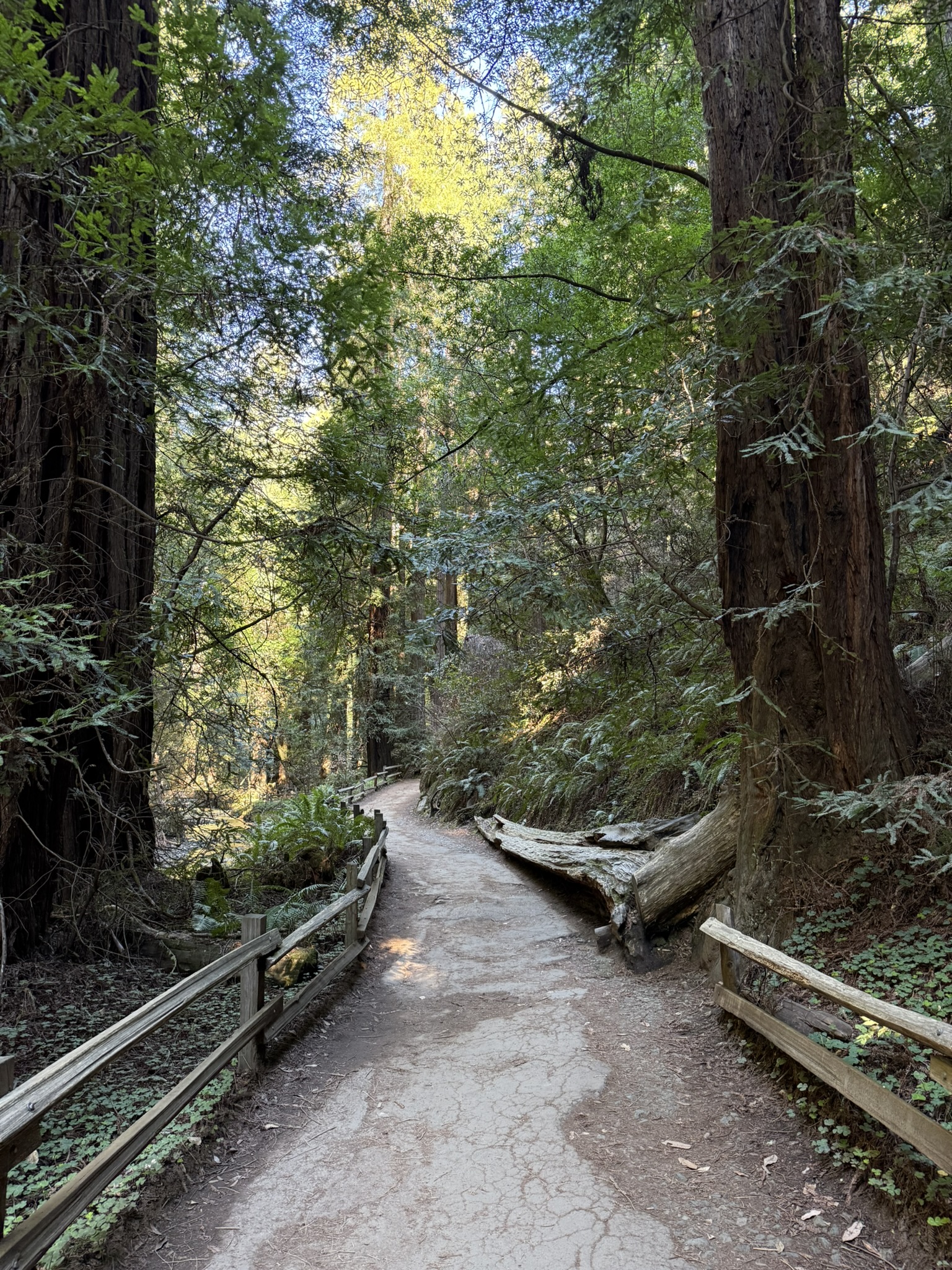 Muir Woods National Monument