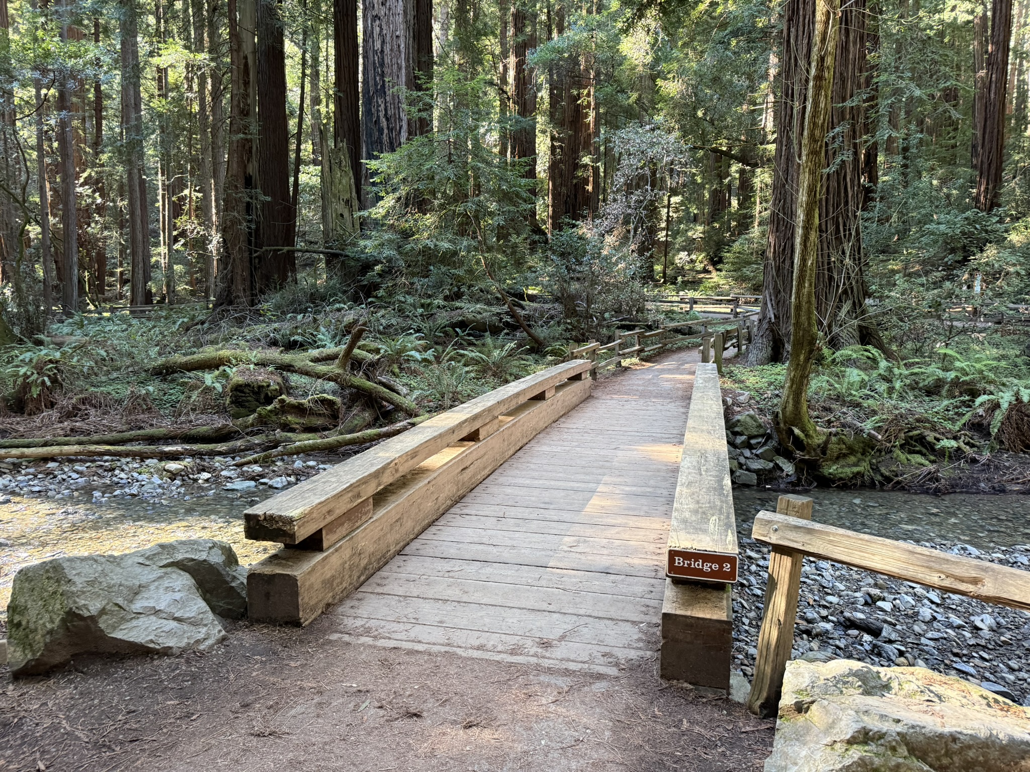 Muir Woods National Monument