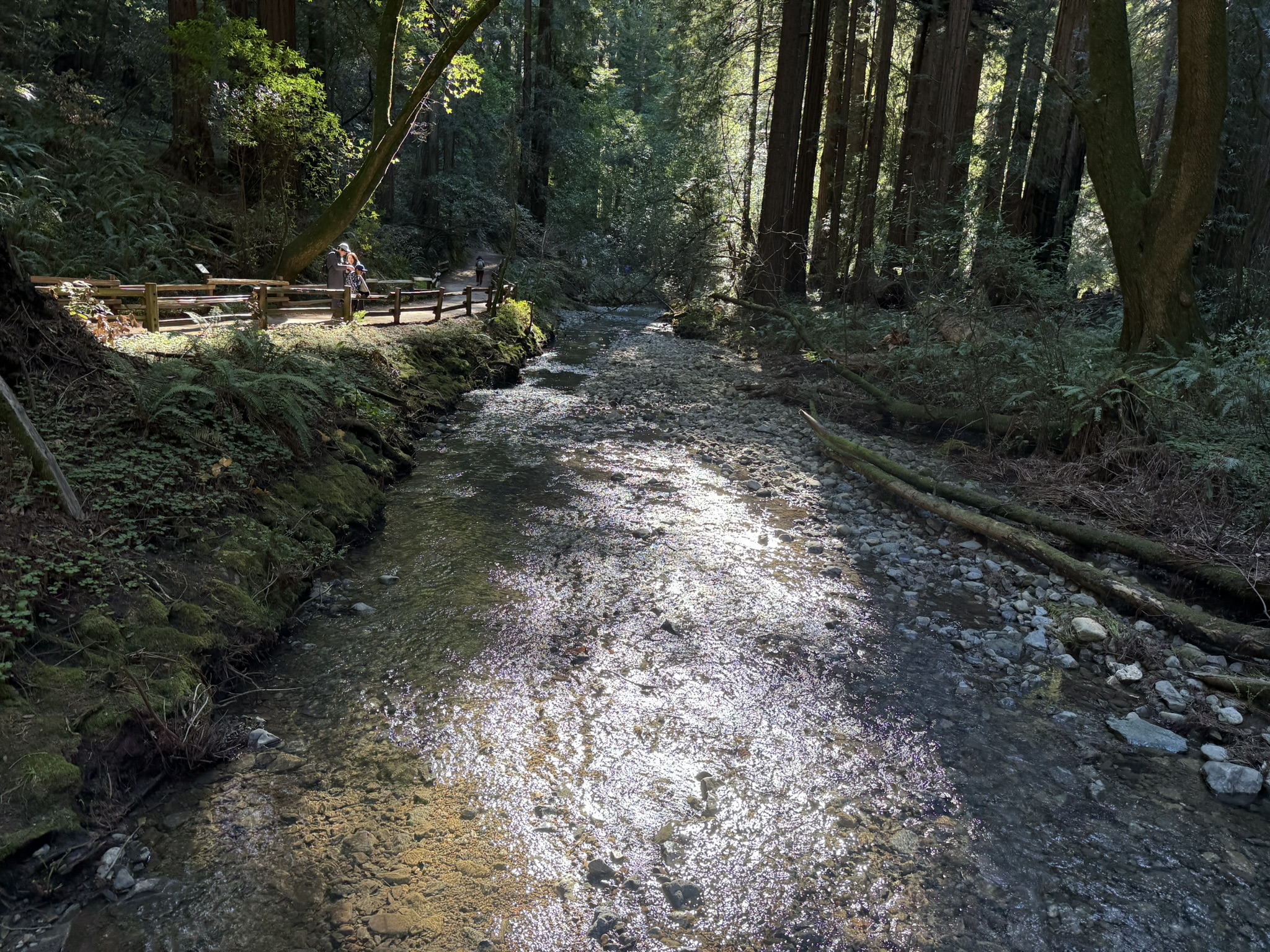 Muir Woods National Monument