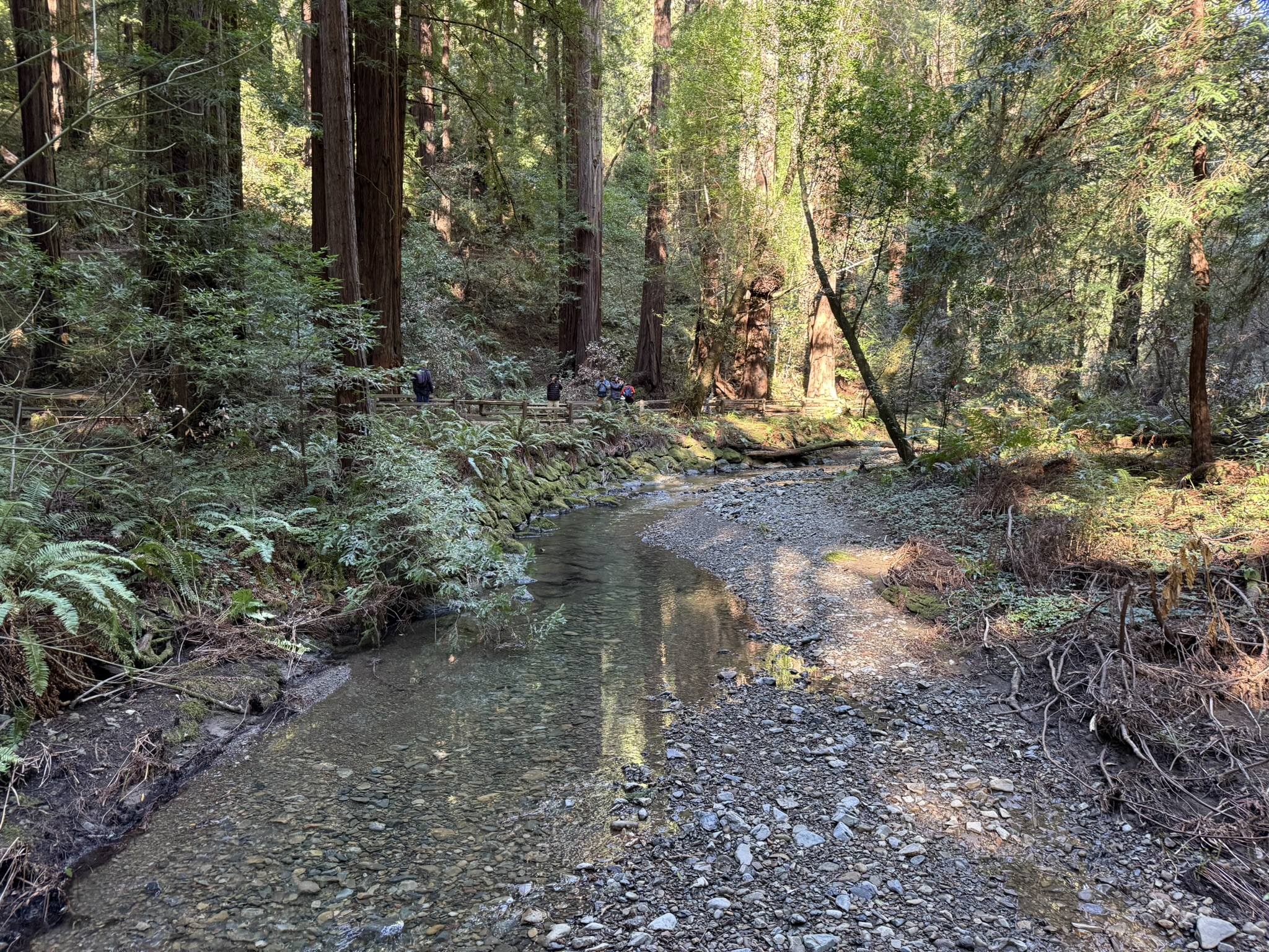 Muir Woods National Monument