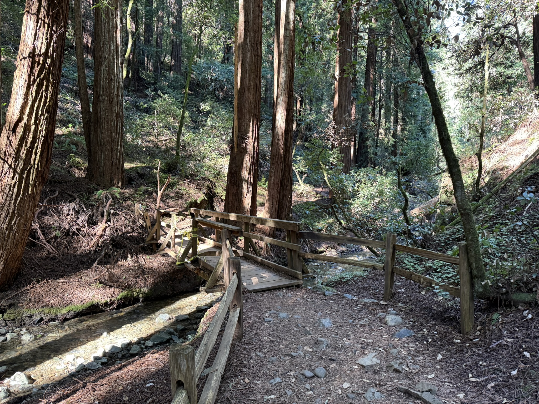 Muir Woods National Monument