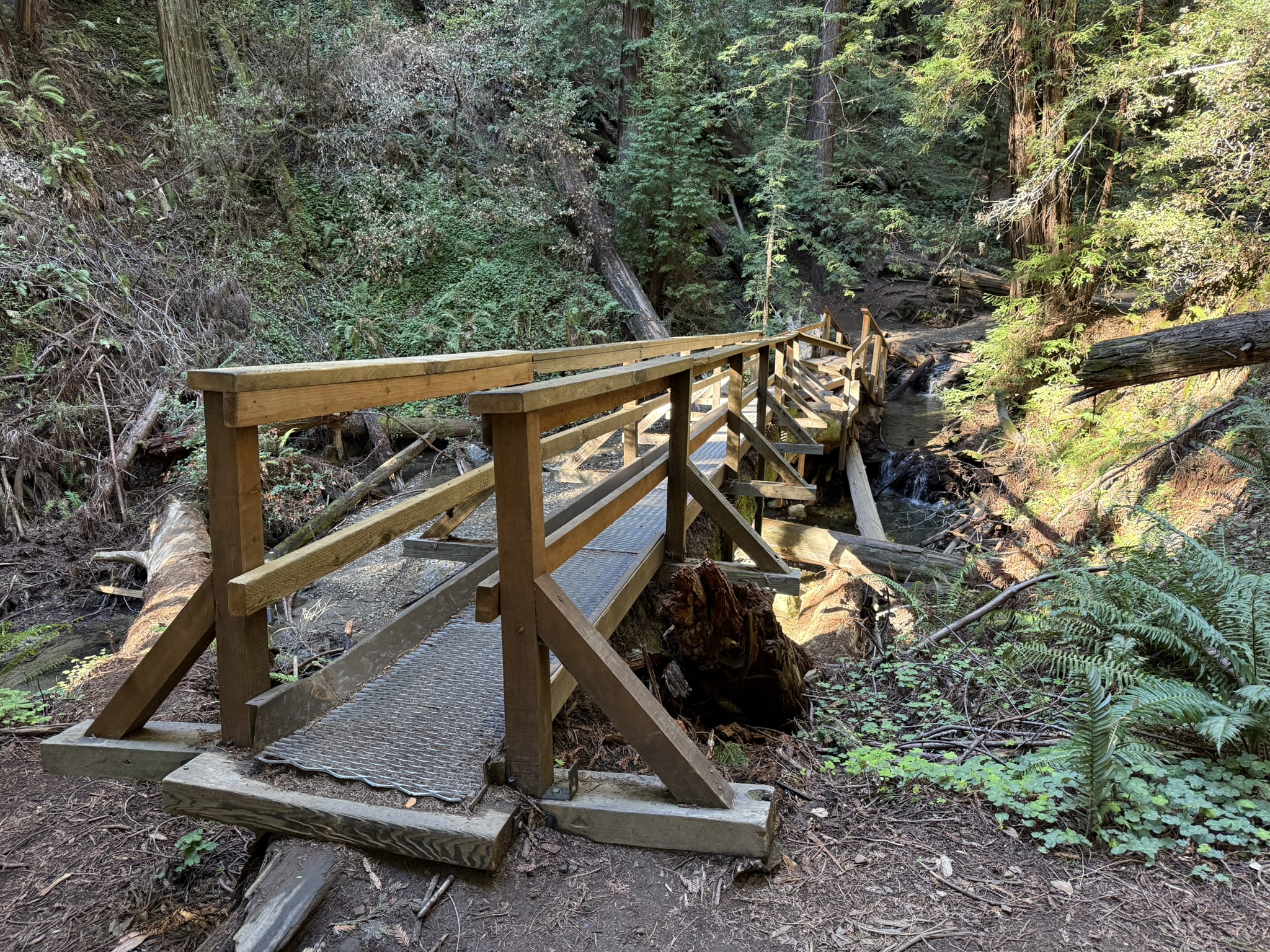 Fern Creek Trail