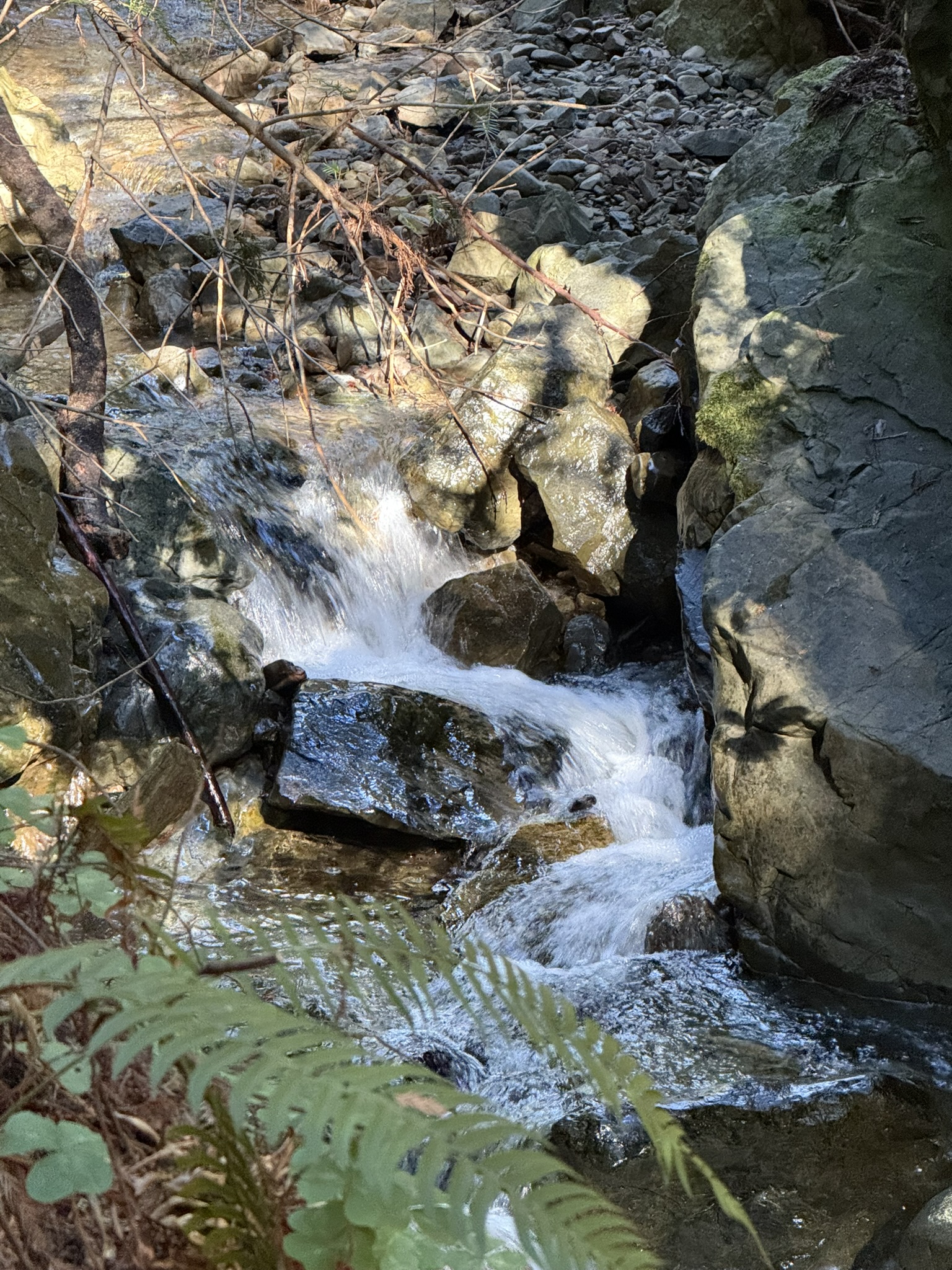 Fern Creek Trail