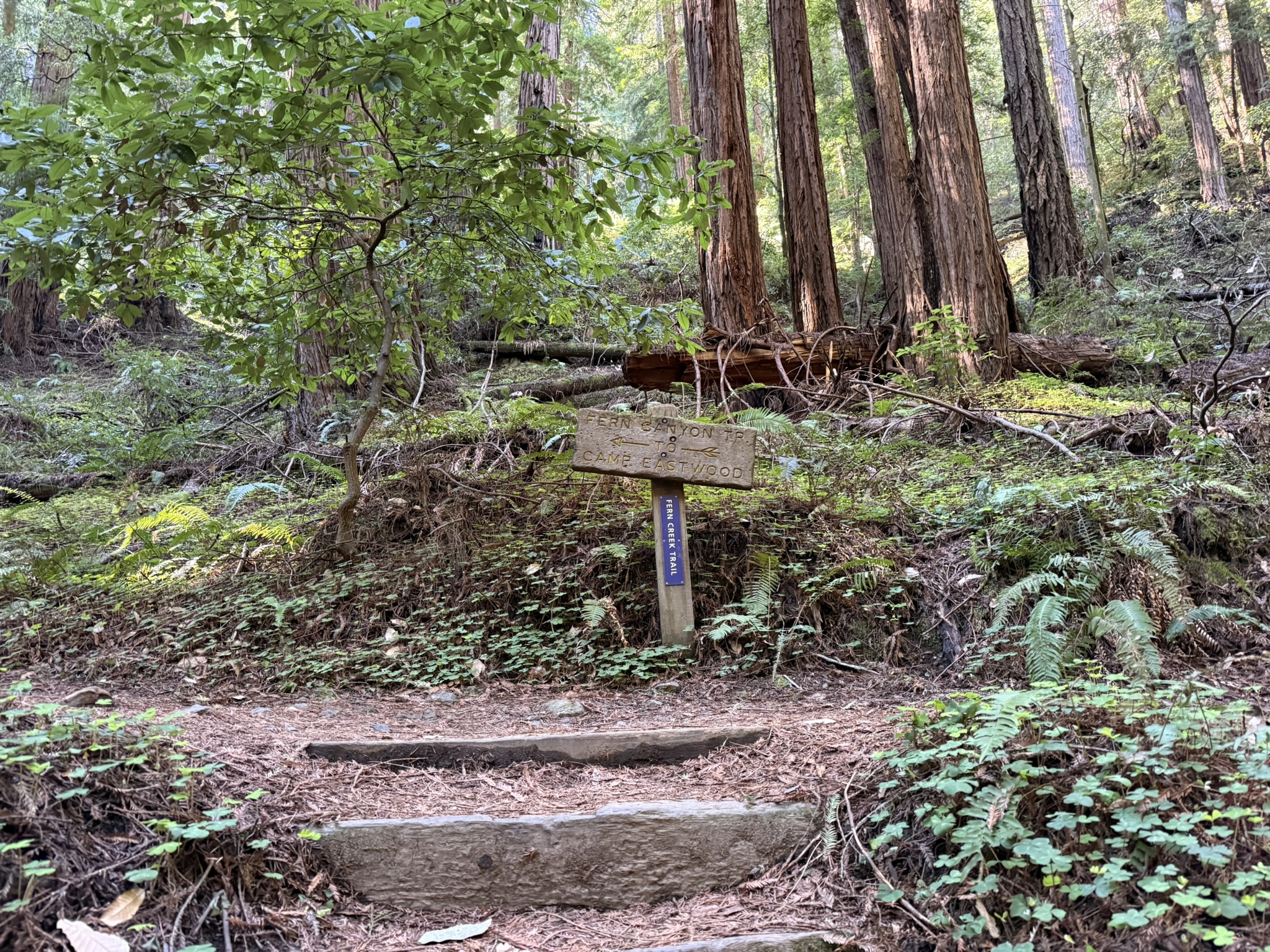 Fern Creek Trail