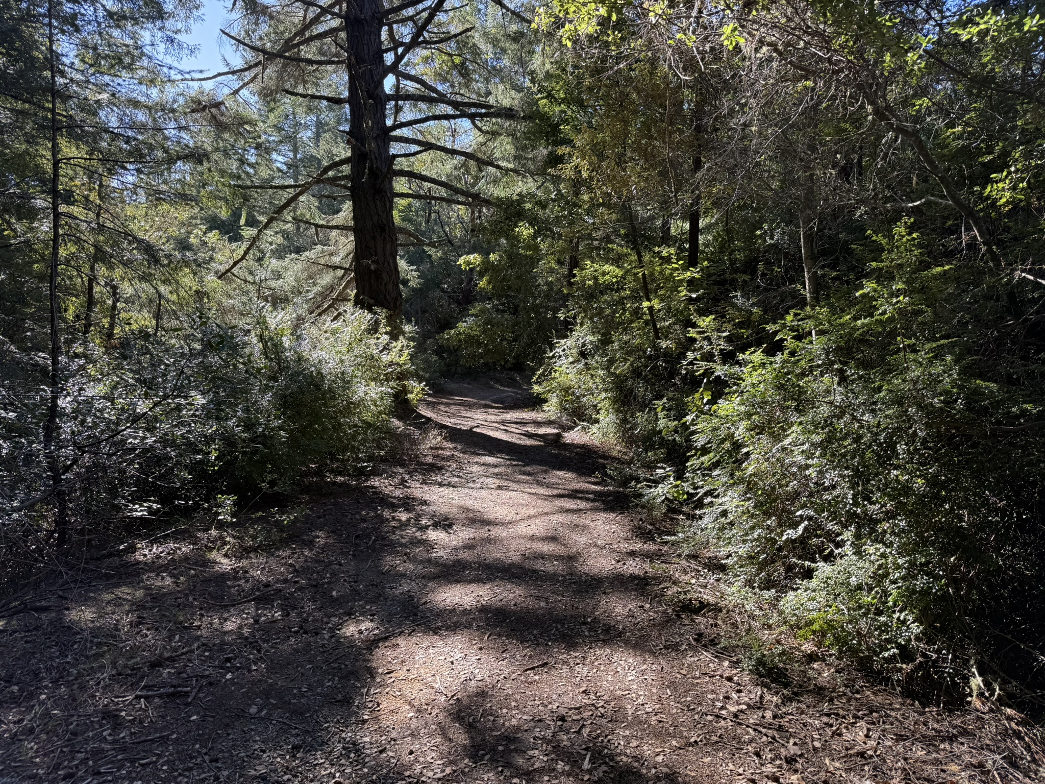 Camp Eastwood Trail