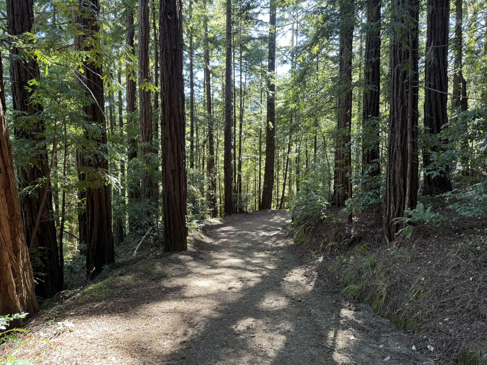 Camp Eastwood Trail