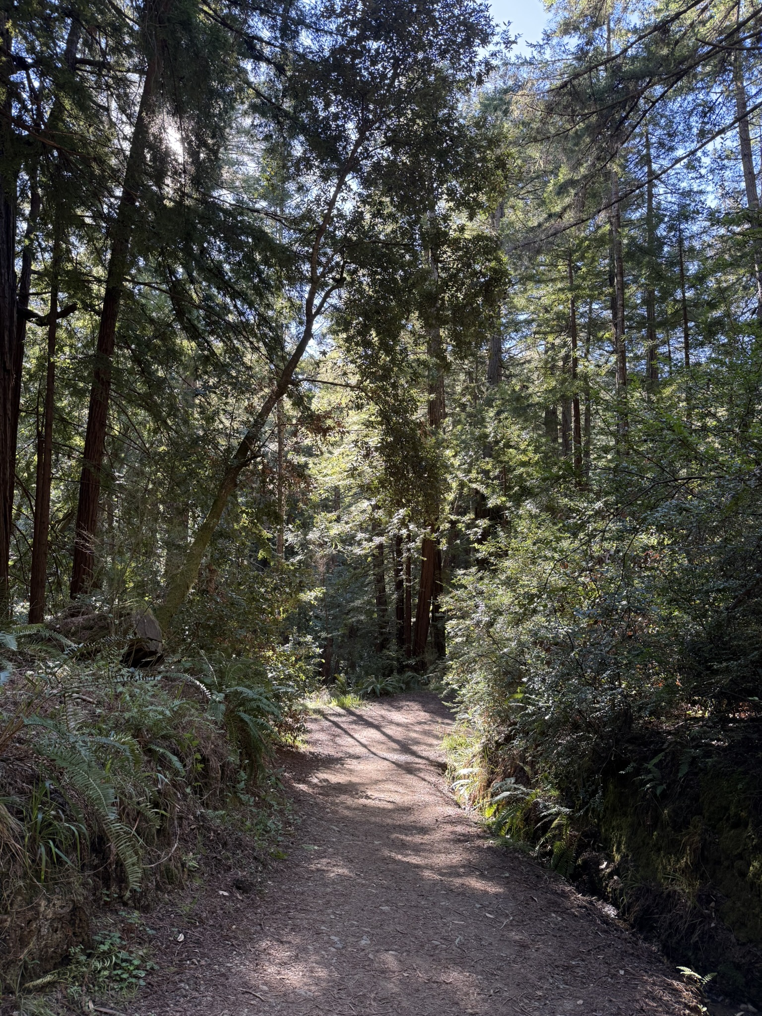 Camp Eastwood Trail