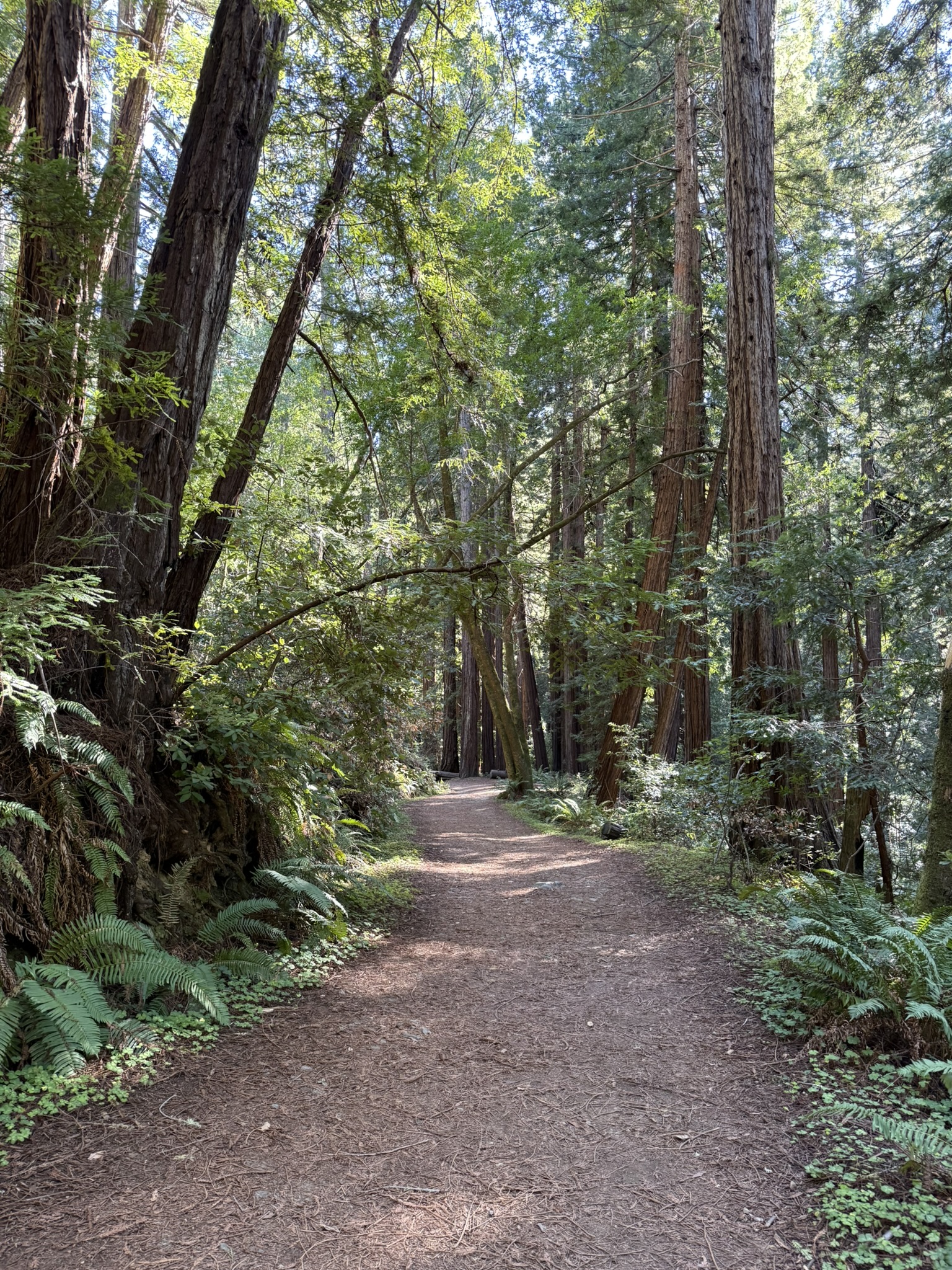 Camp Eastwood Trail