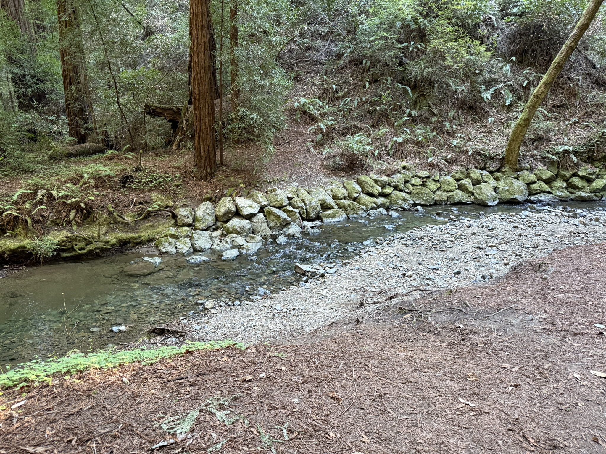 Muir Woods National Monument