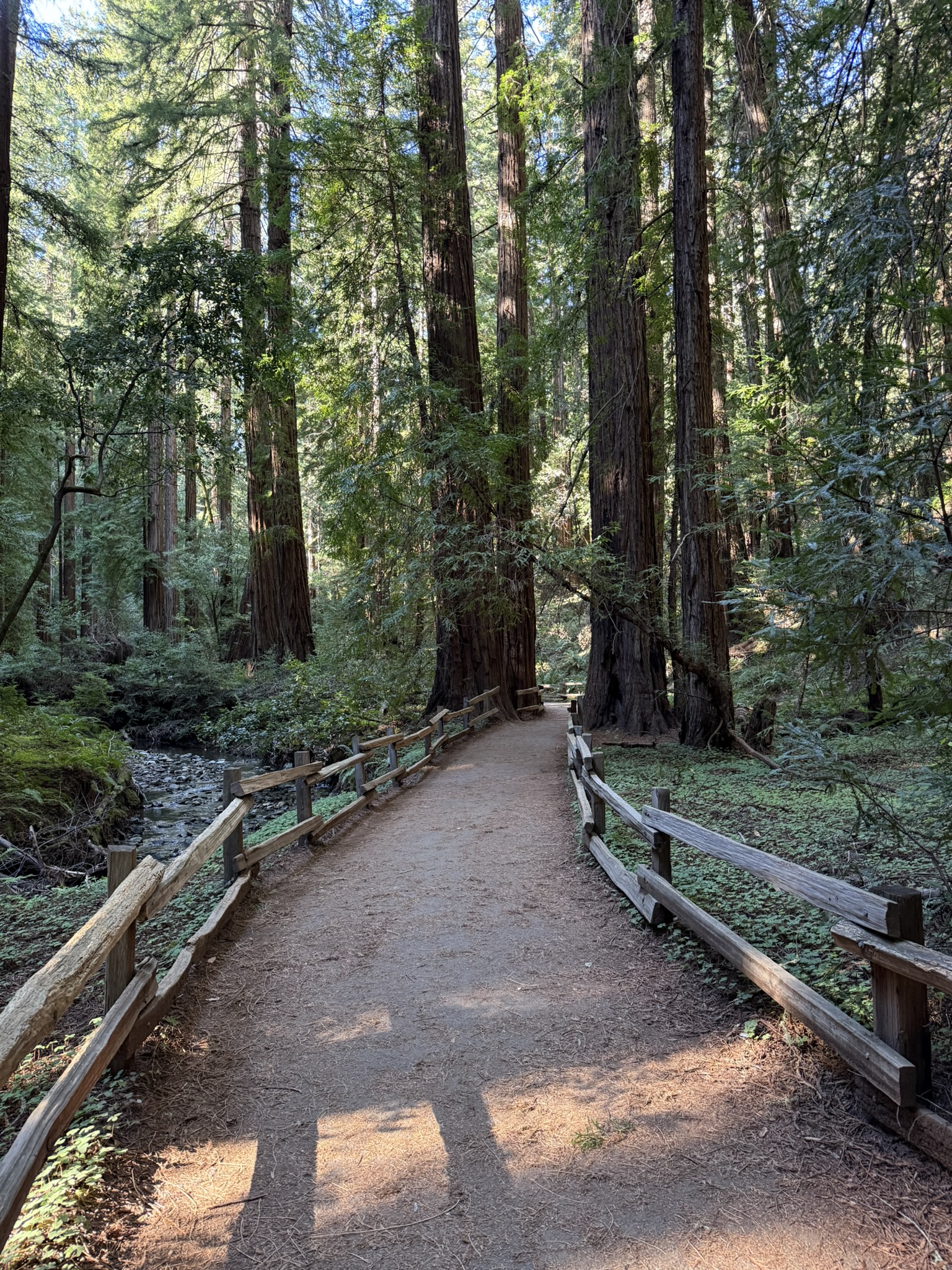 Muir Woods National Monument