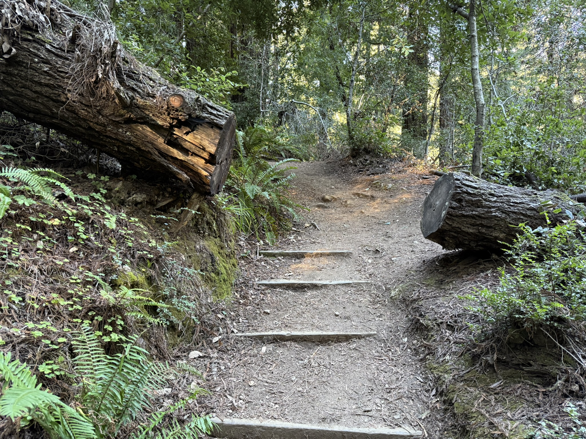 Ben Johnson Trail