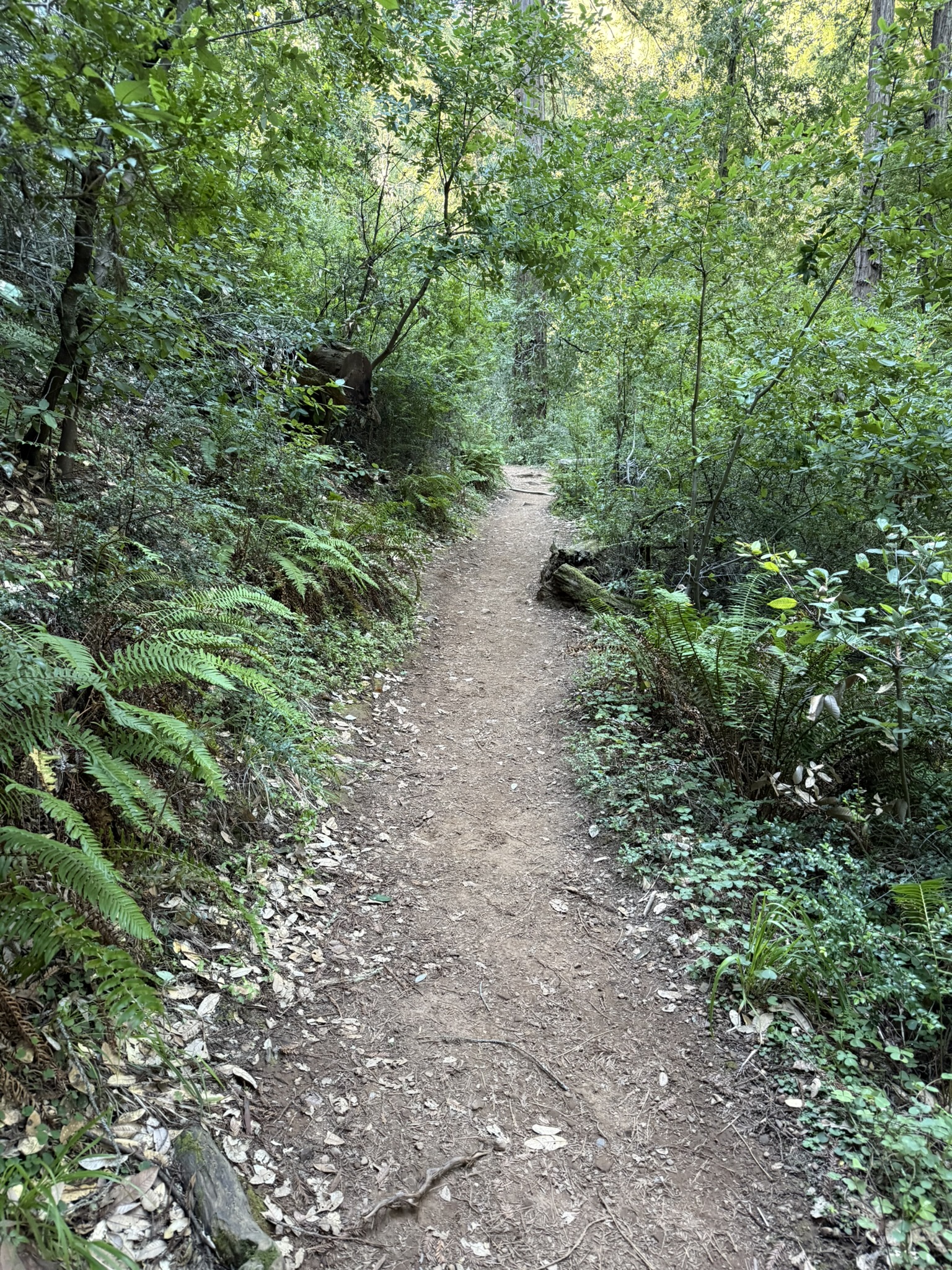 Ben Johnson Trail