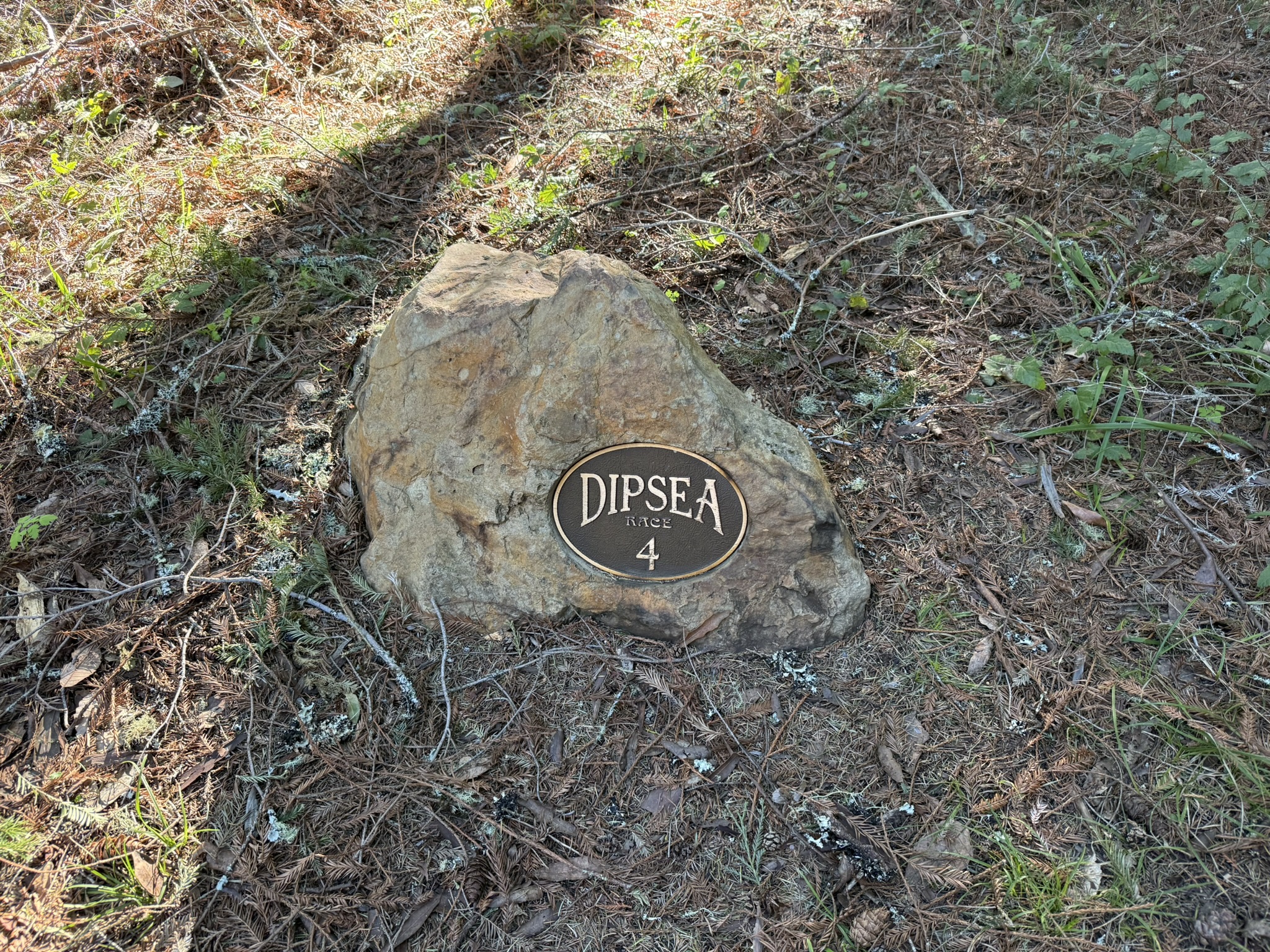 Dipsea Trail