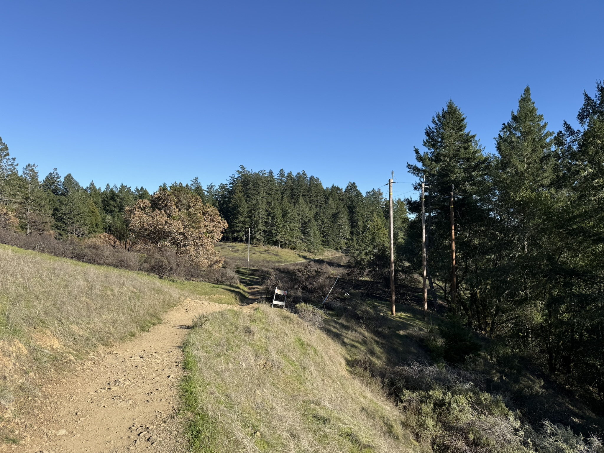 Dipsea Trail