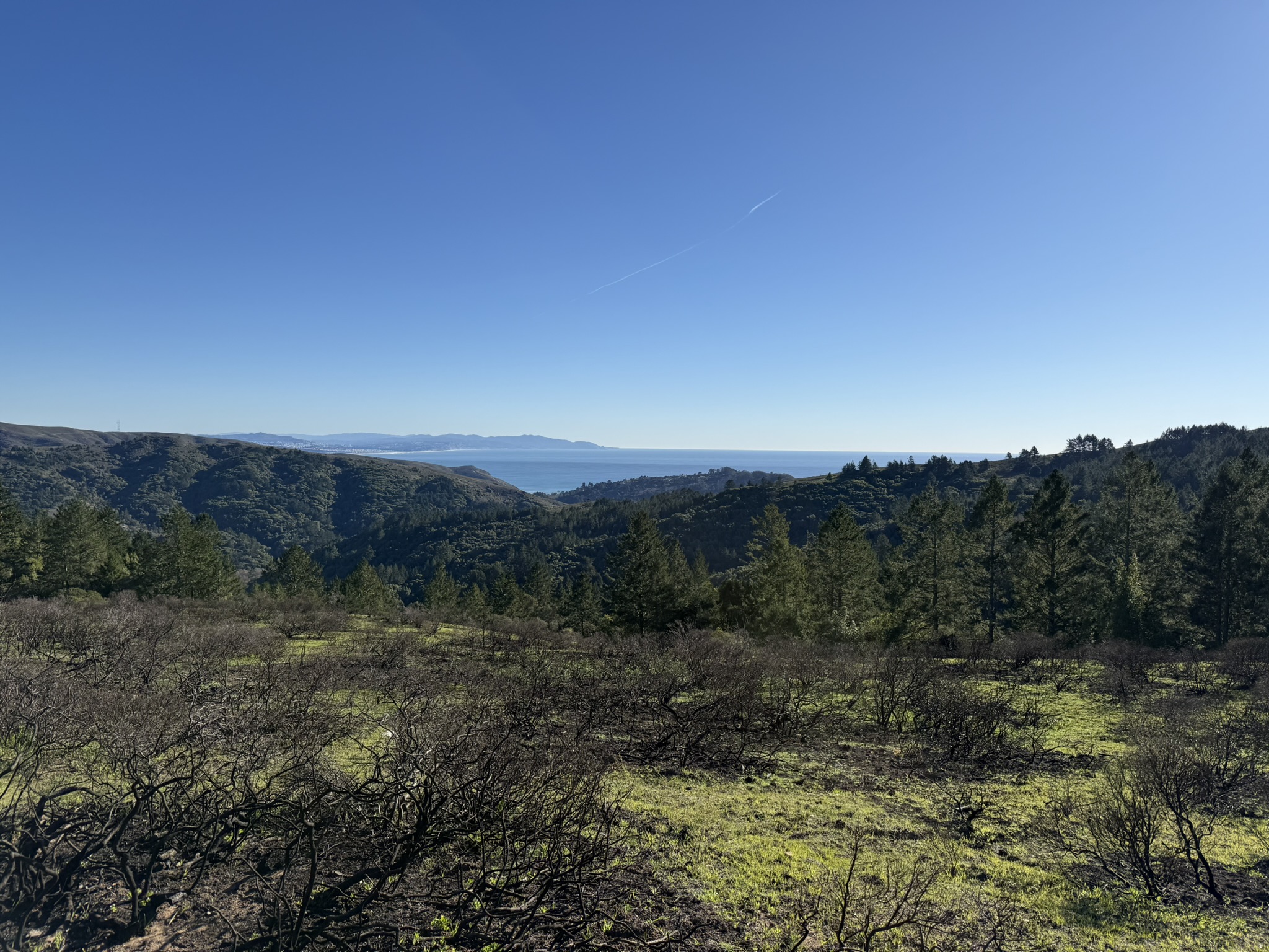 Dipsea Trail