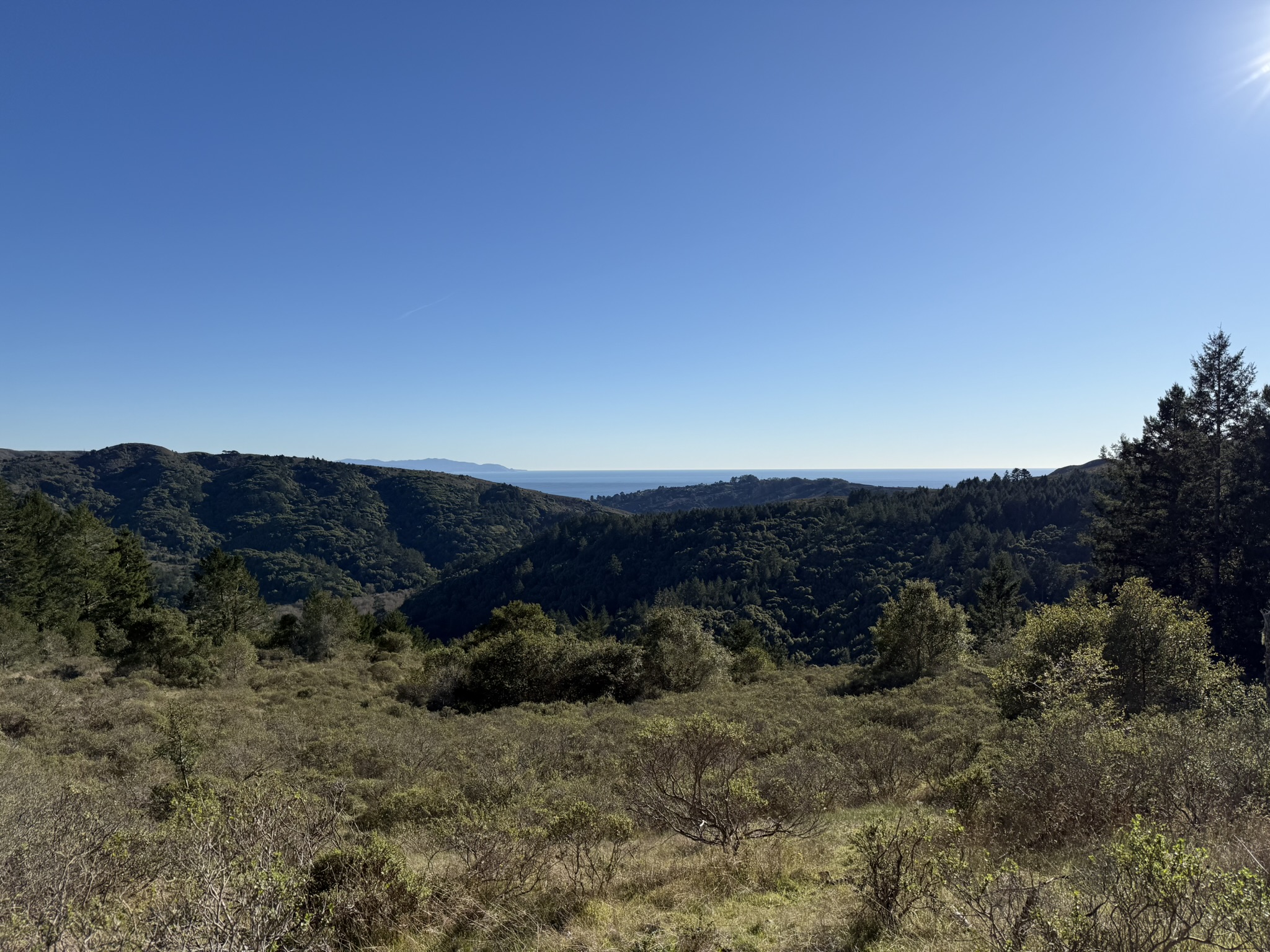 Dipsea Trail