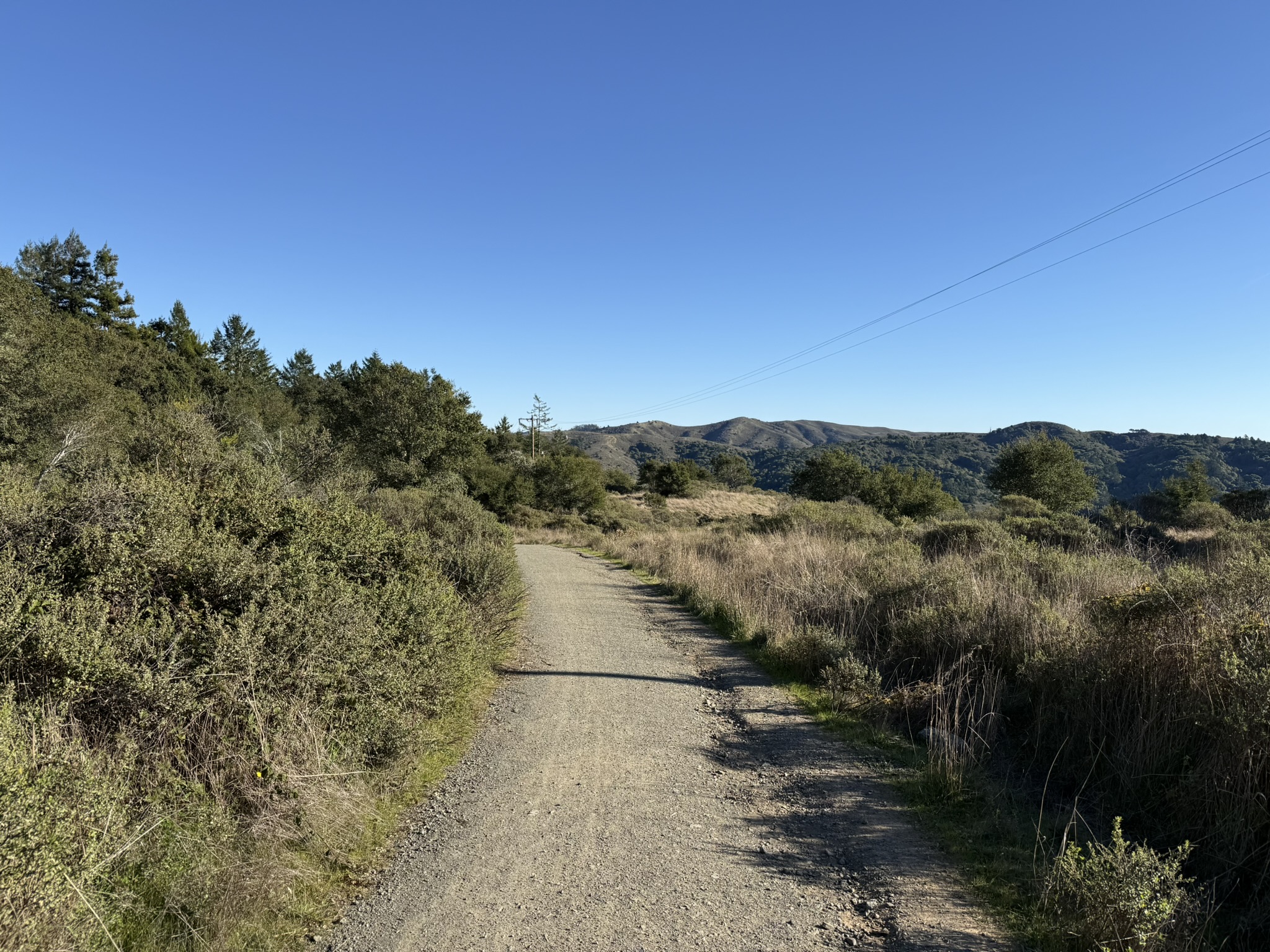 Dipsea Trail