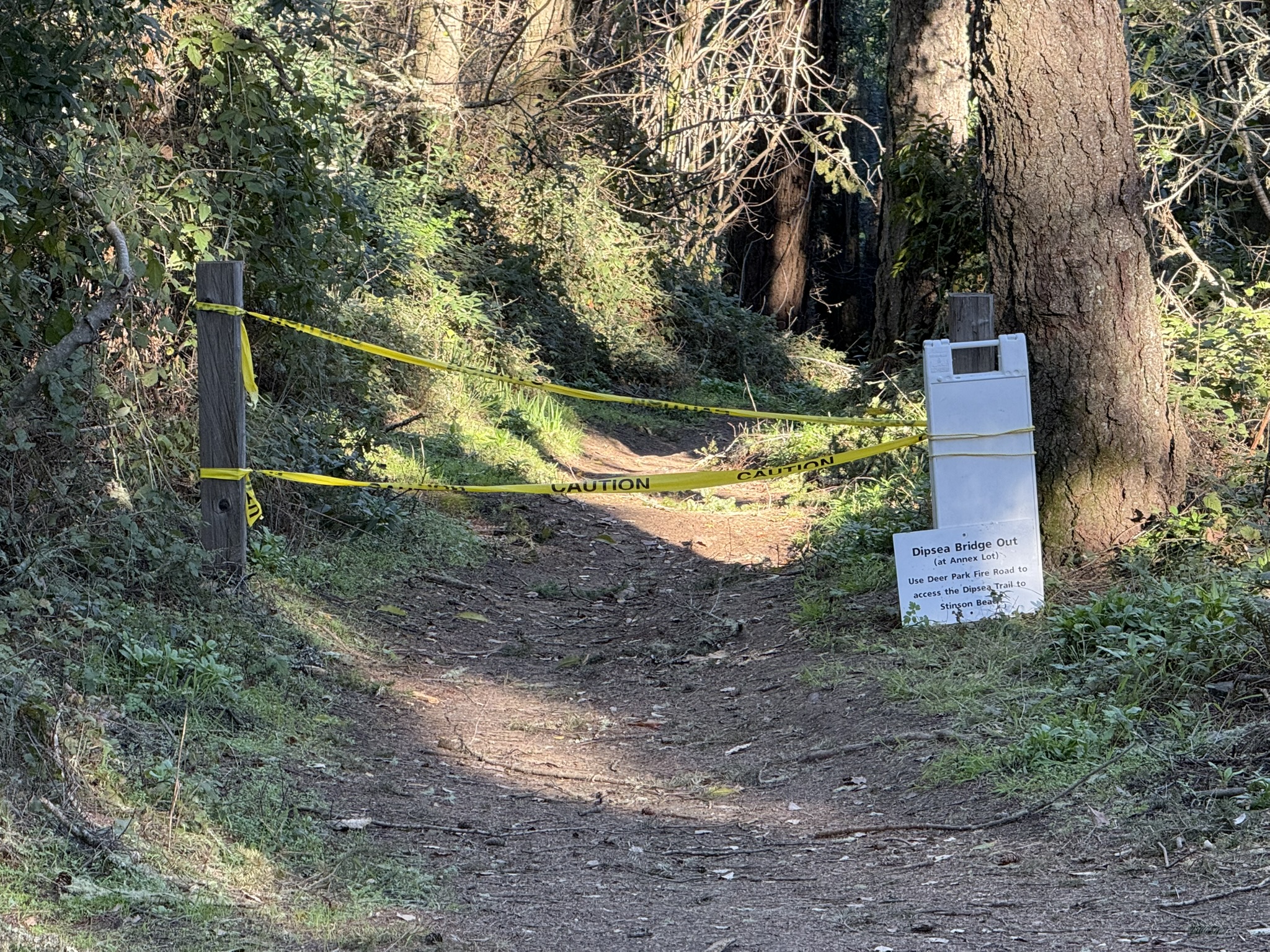 Dipsea Trail