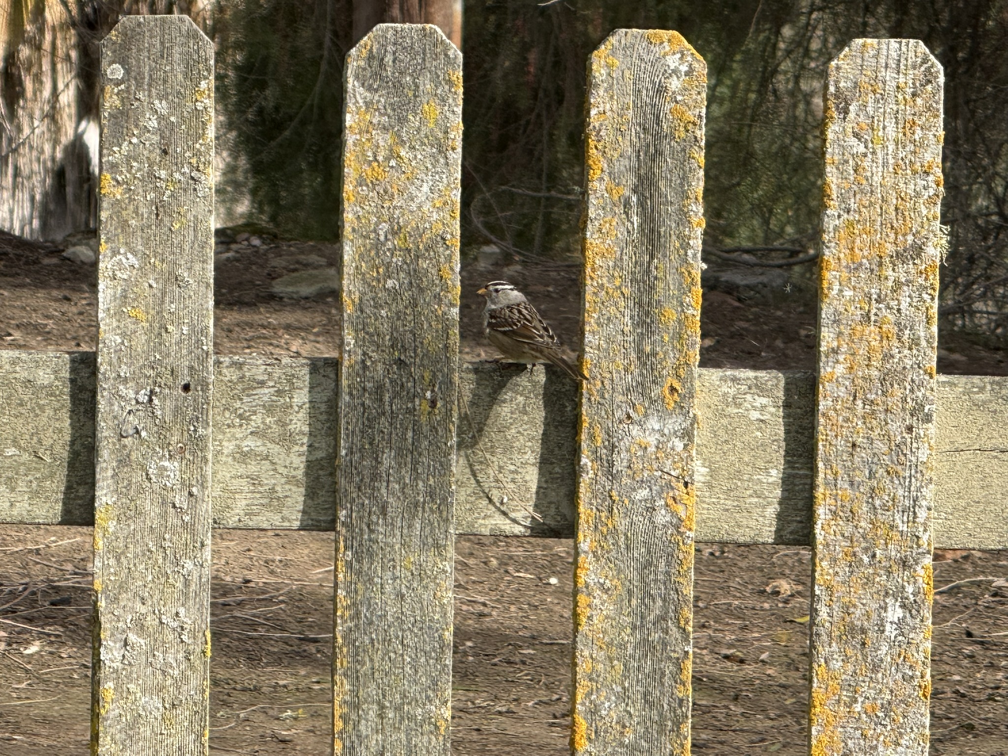 San Juan Bautista State Historic Park