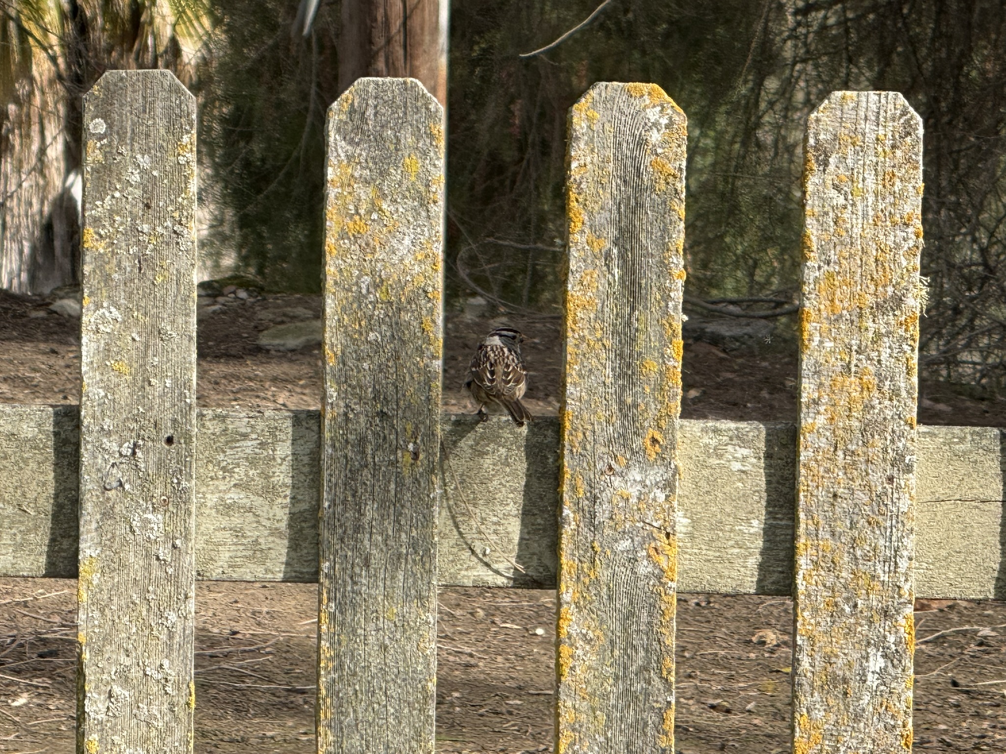 San Juan Bautista State Historic Park