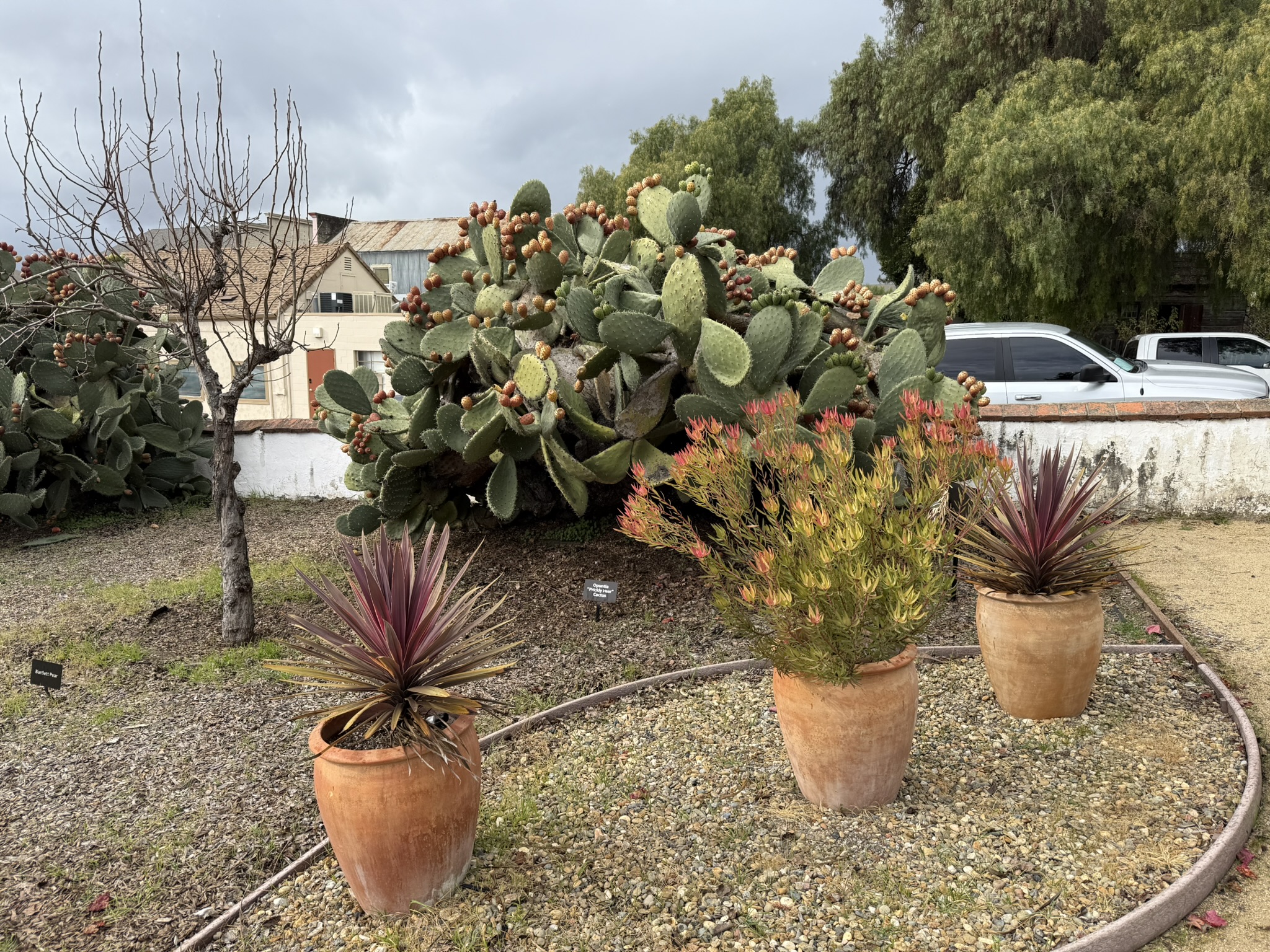 San Juan Bautista State Historic Park